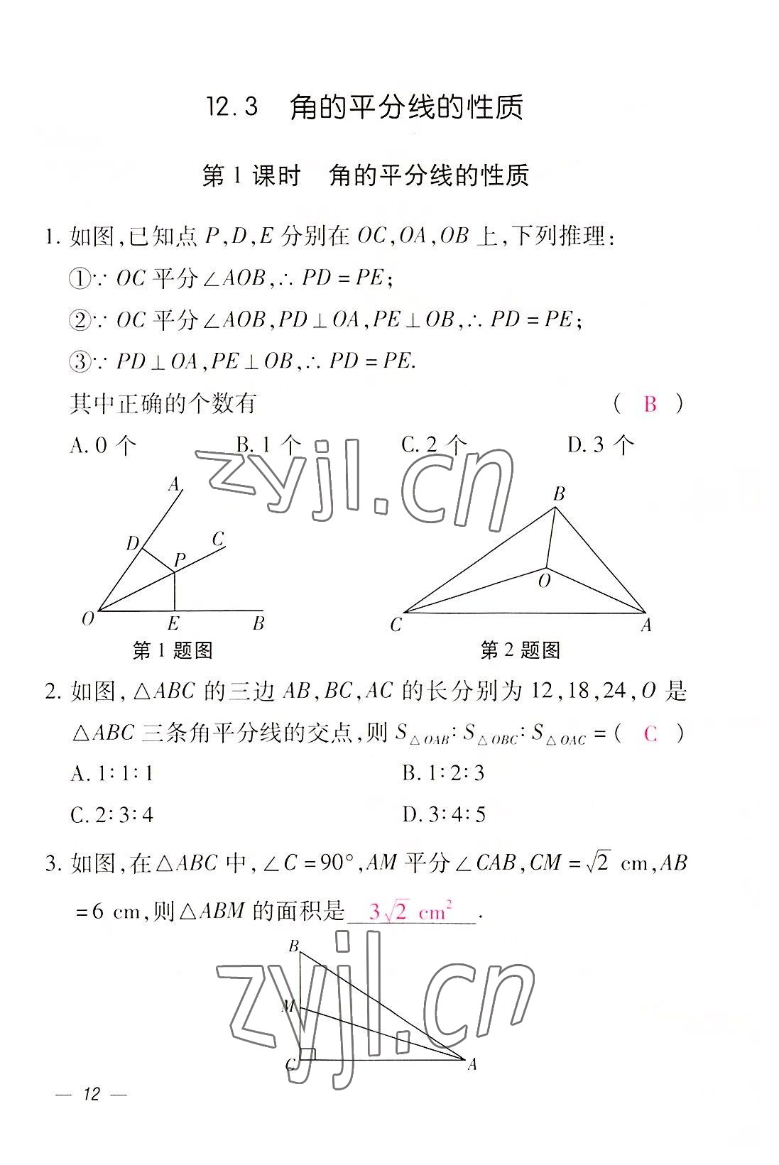 2022年本土攻略八年级数学上册人教版 参考答案第12页