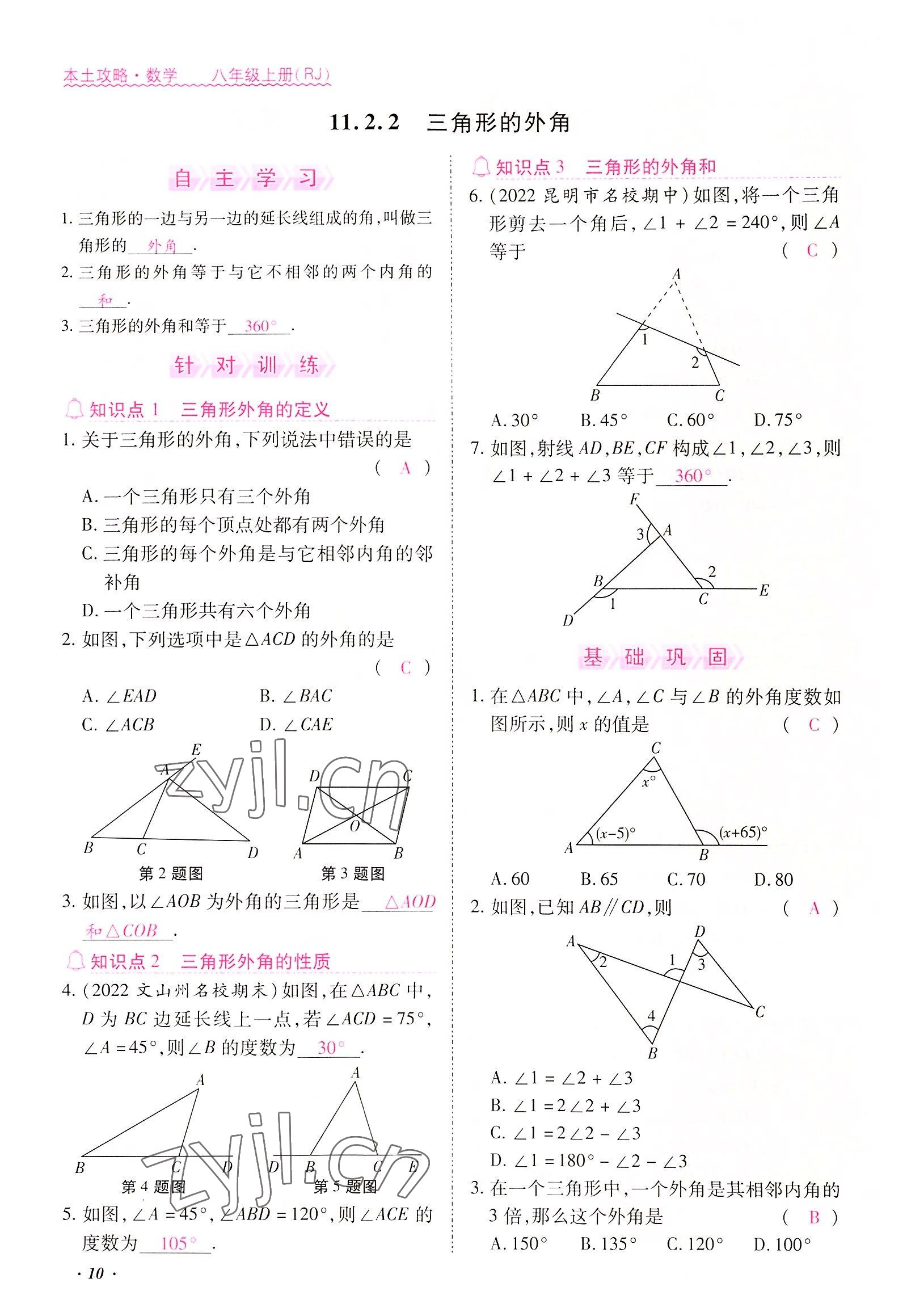 2022年本土攻略八年级数学上册人教版 参考答案第10页