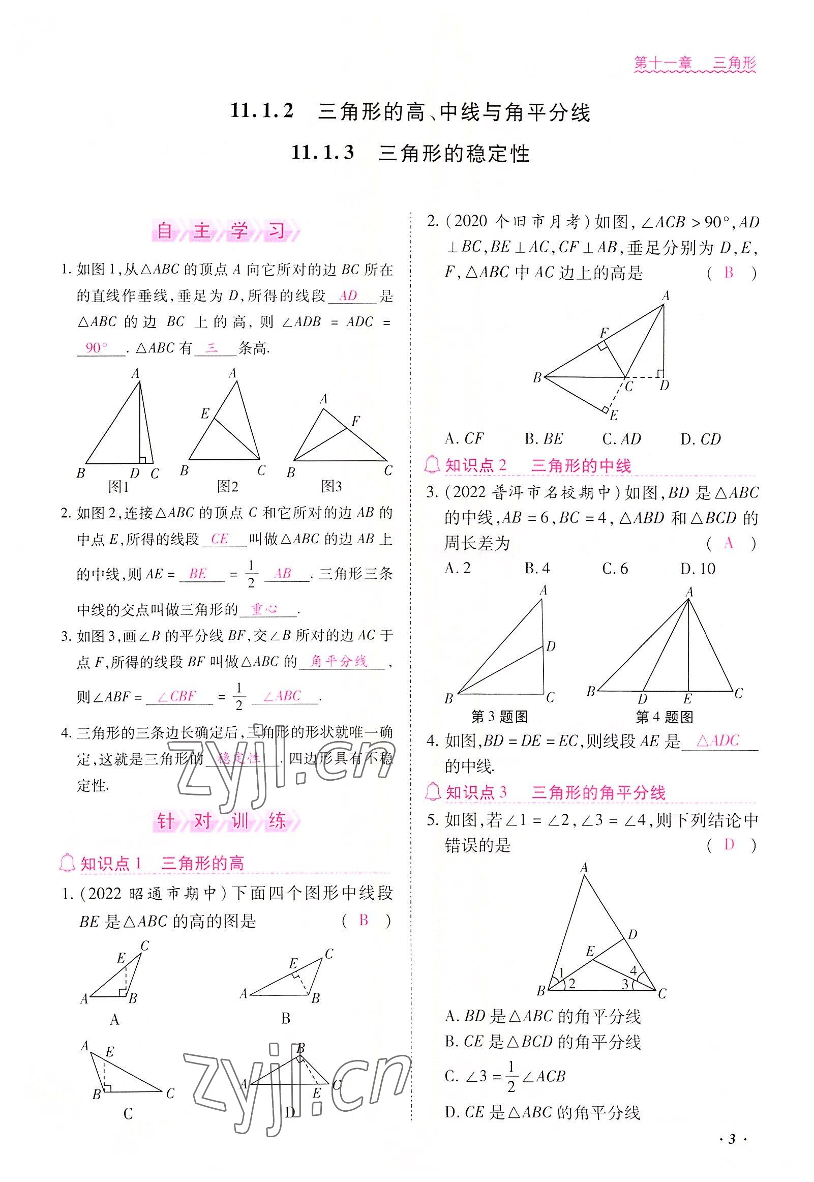 2022年本土攻略八年级数学上册人教版 参考答案第3页