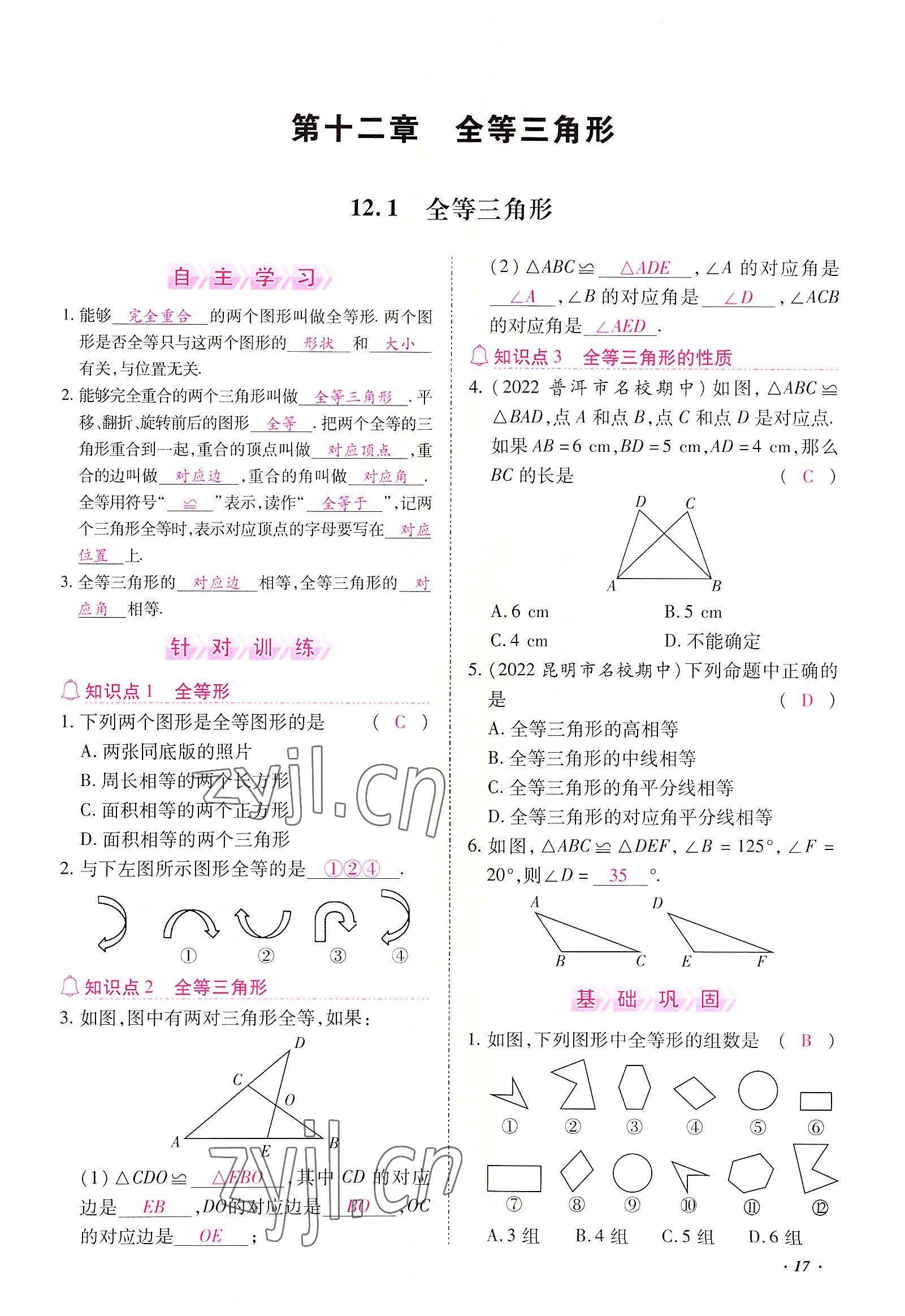 2022年本土攻略八年级数学上册人教版 参考答案第17页