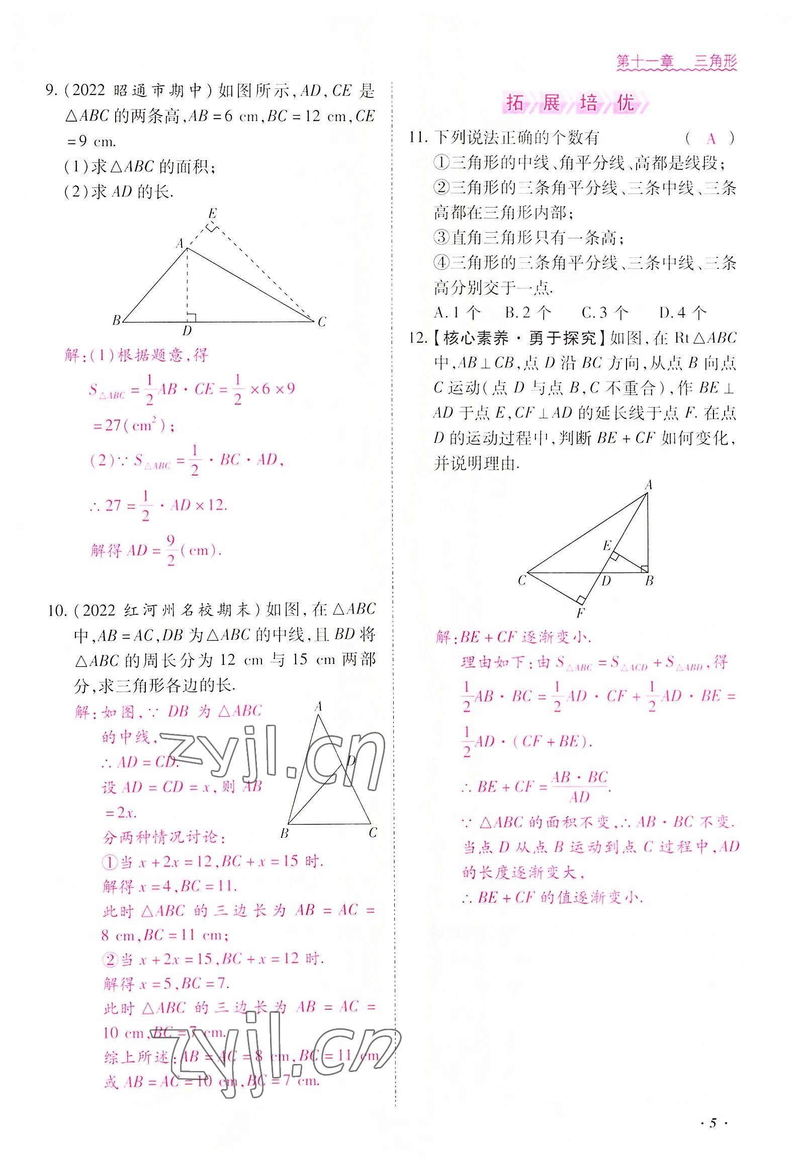 2022年本土攻略八年級數(shù)學上冊人教版 參考答案第5頁