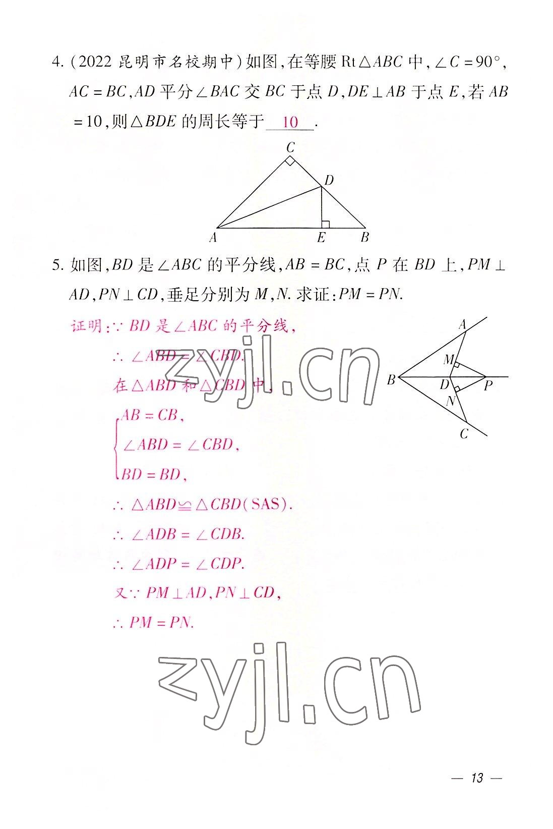 2022年本土攻略八年级数学上册人教版 参考答案第13页