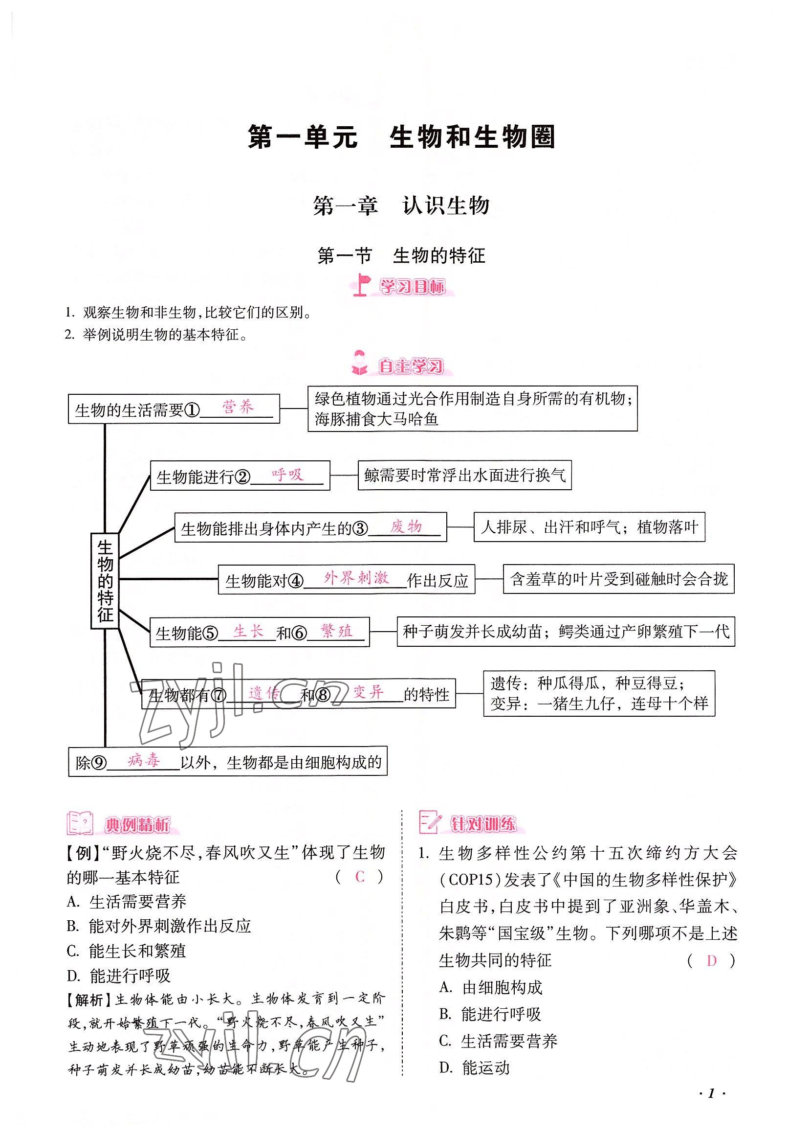 2022年本土攻略七年级生物上册人教版 参考答案第1页