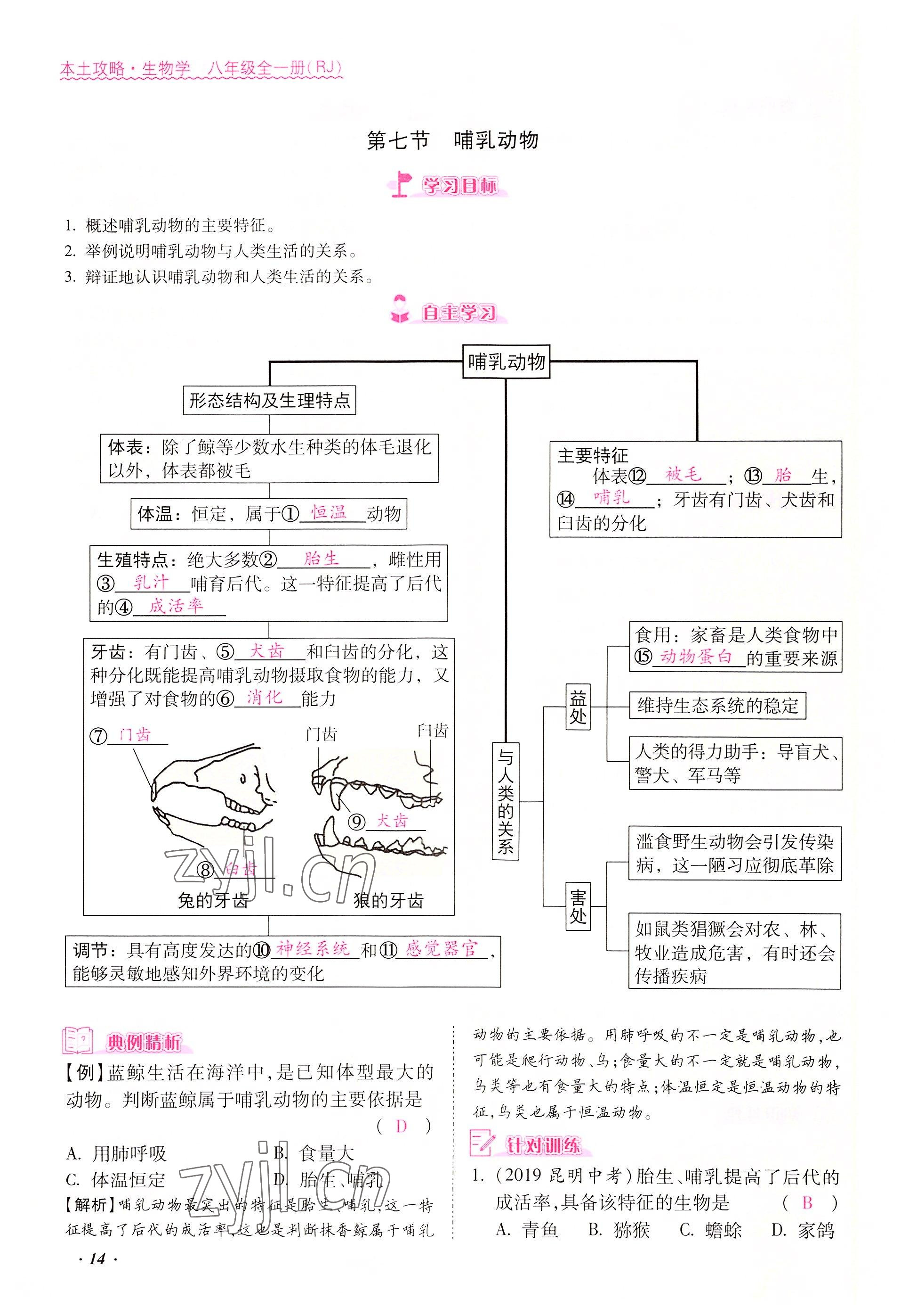 2022年本土攻略八年級生物上冊人教版 參考答案第14頁