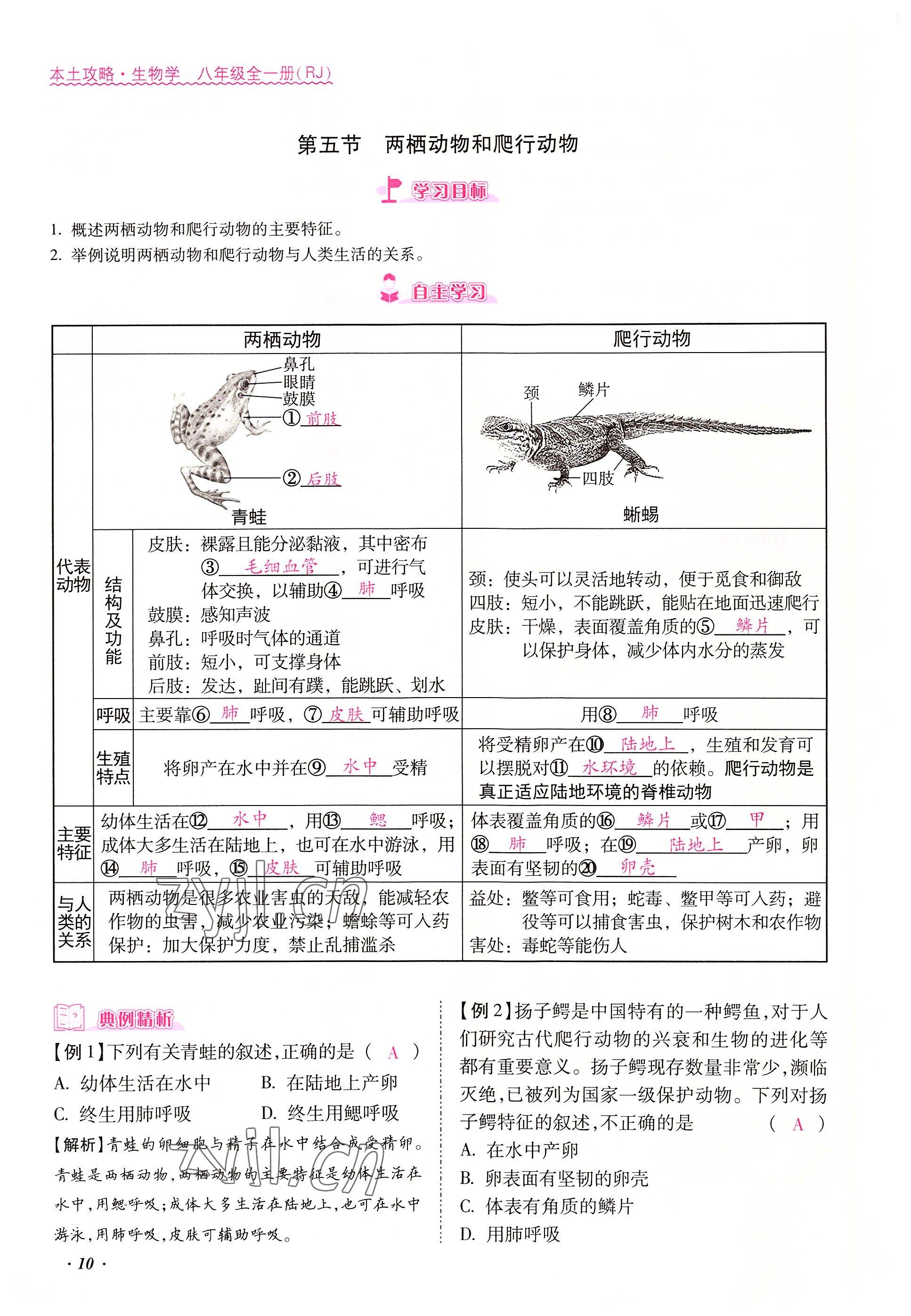 2022年本土攻略八年級(jí)生物上冊(cè)人教版 參考答案第10頁(yè)