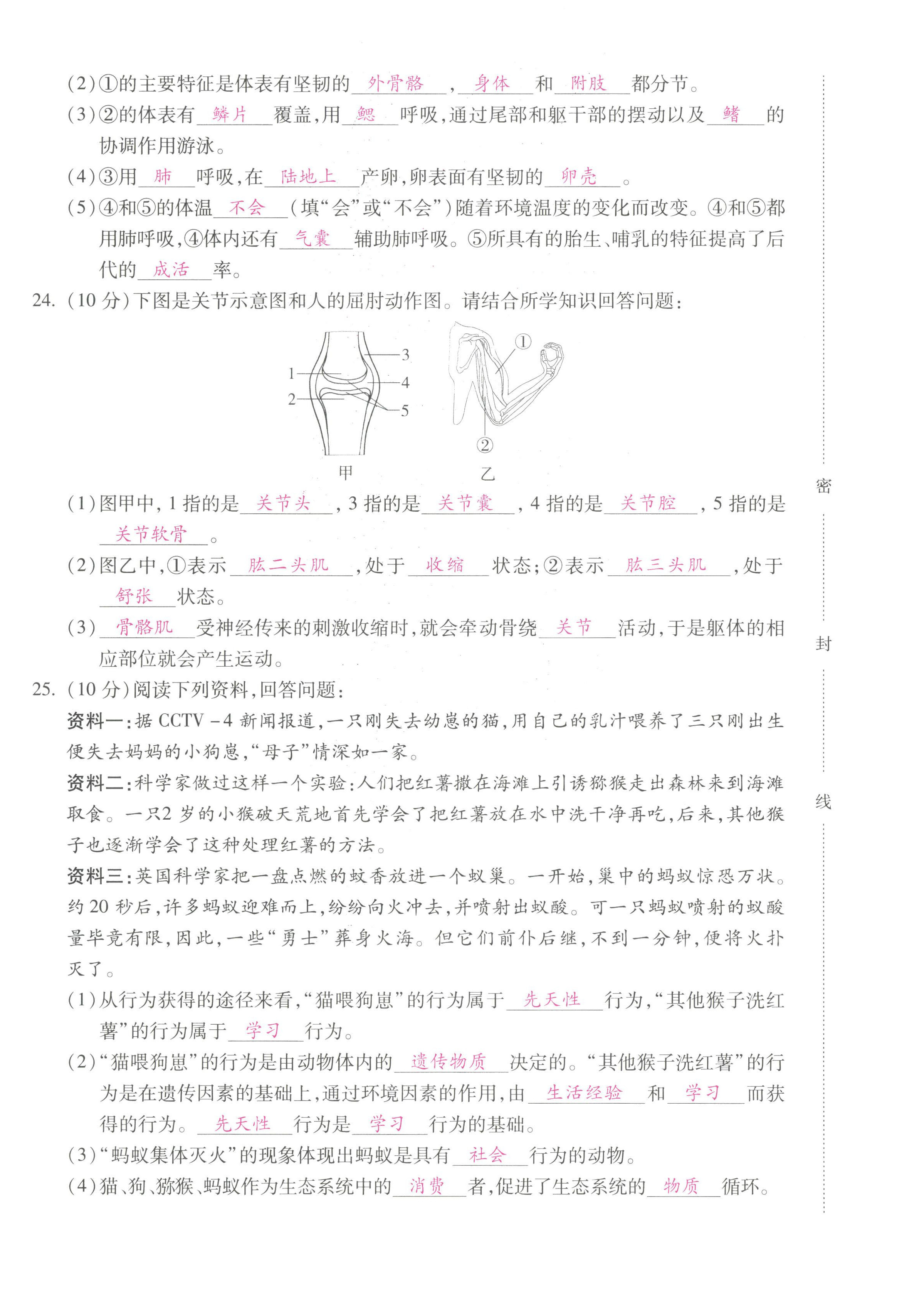 2022年本土攻略八年級生物上冊人教版 第4頁