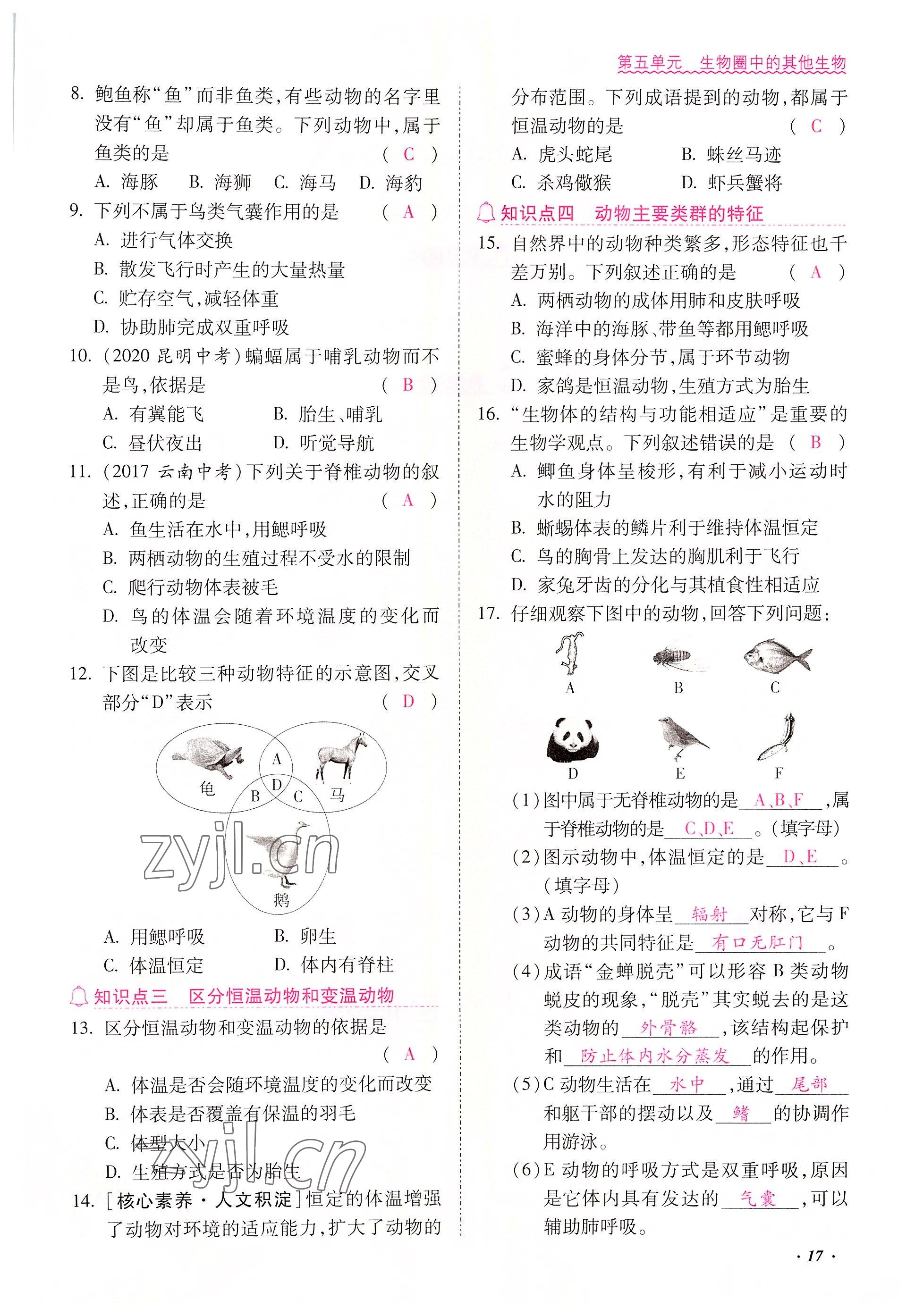 2022年本土攻略八年級(jí)生物上冊(cè)人教版 參考答案第17頁(yè)