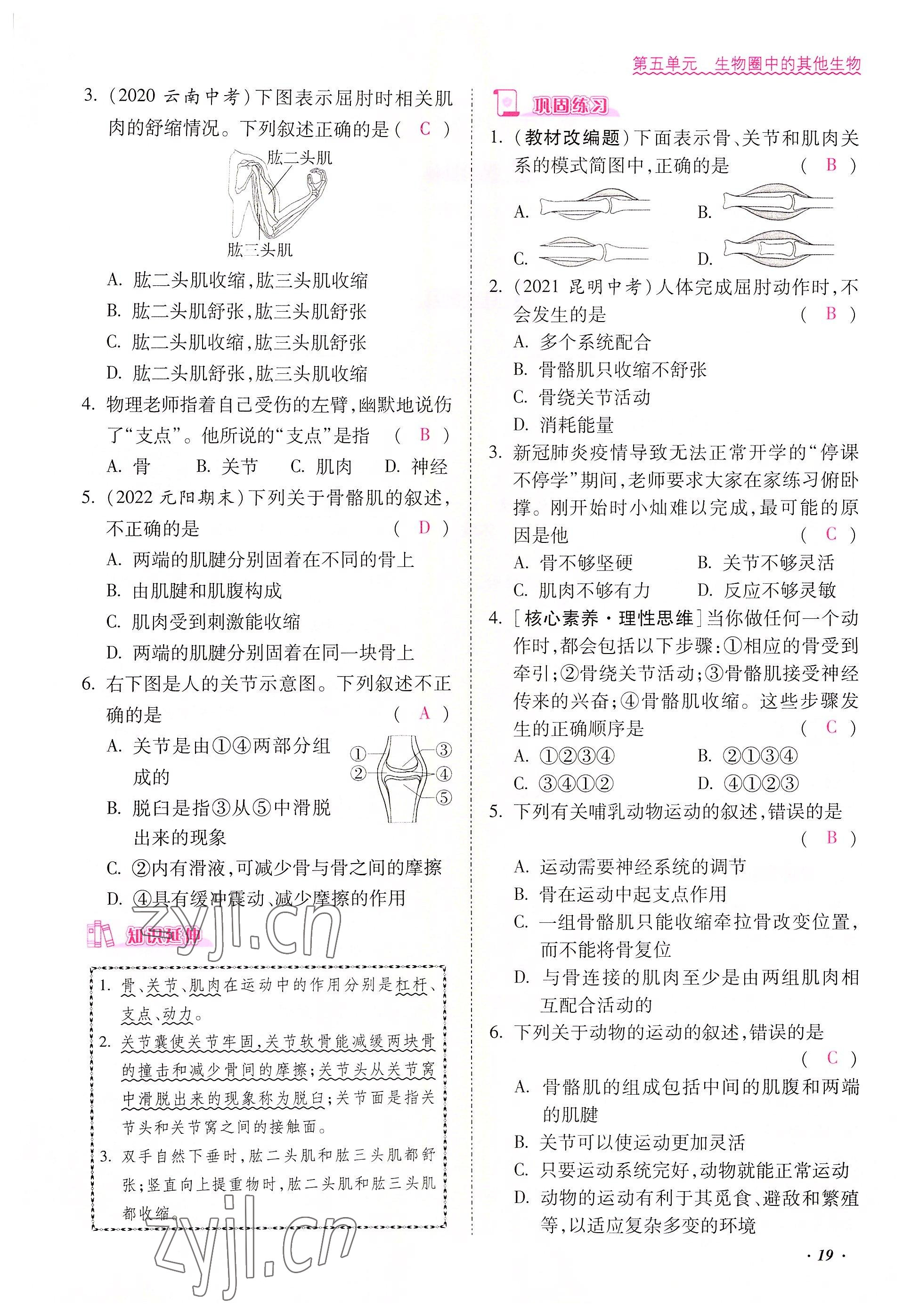 2022年本土攻略八年級生物上冊人教版 參考答案第19頁