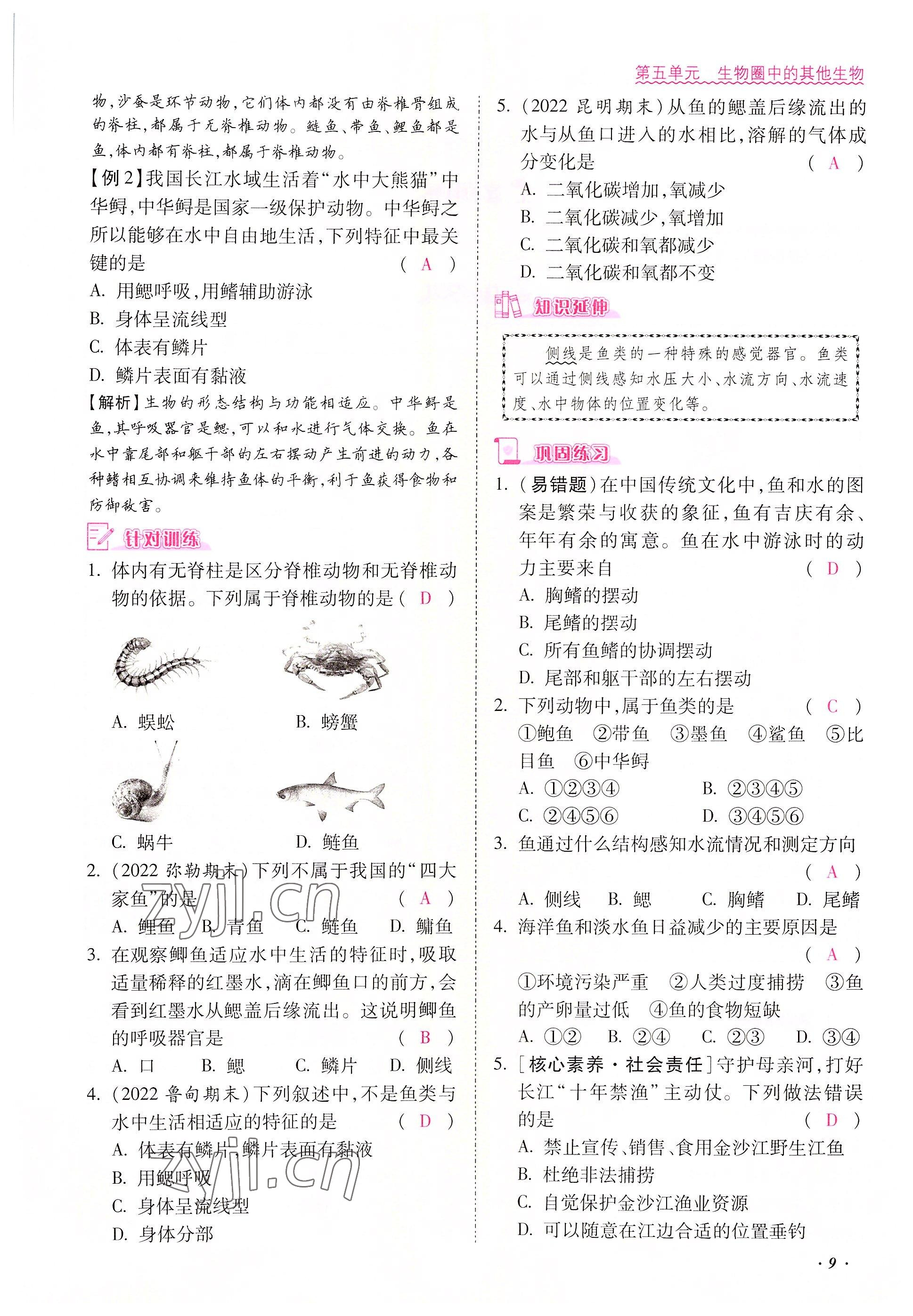 2022年本土攻略八年級生物上冊人教版 參考答案第9頁