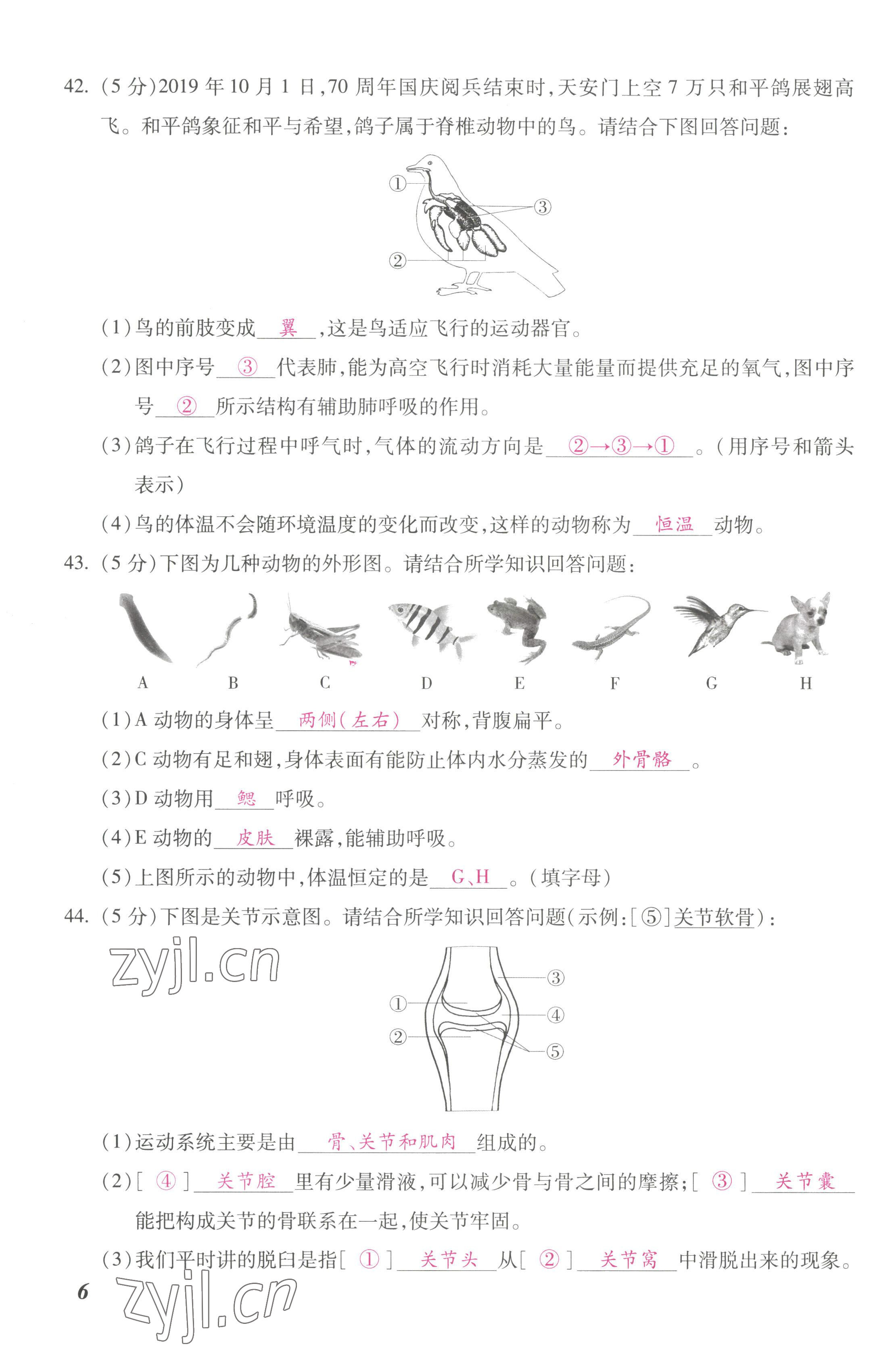 2022年本土攻略八年級(jí)生物上冊(cè)人教版 第11頁(yè)