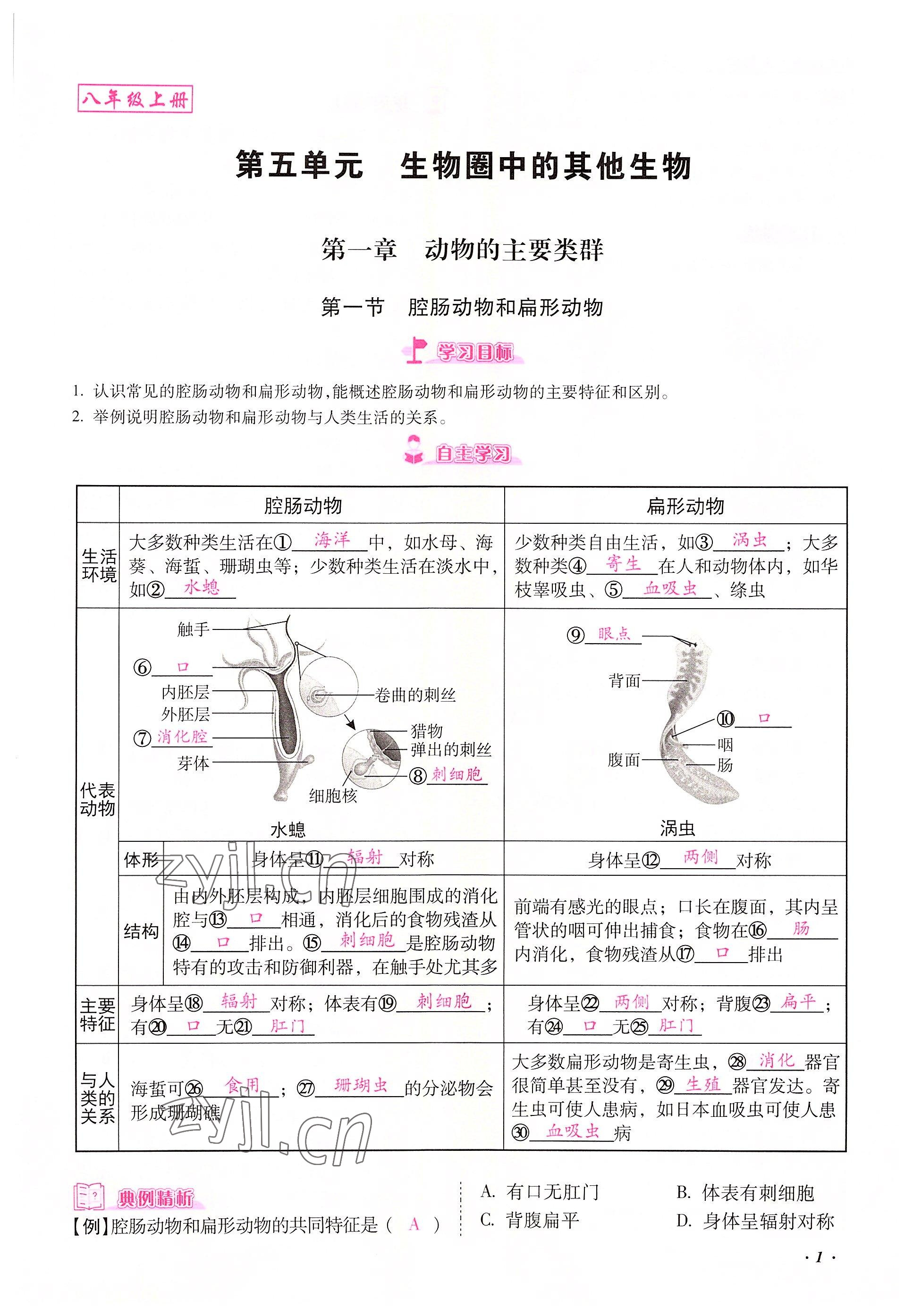 2022年本土攻略八年級生物上冊人教版 參考答案第1頁