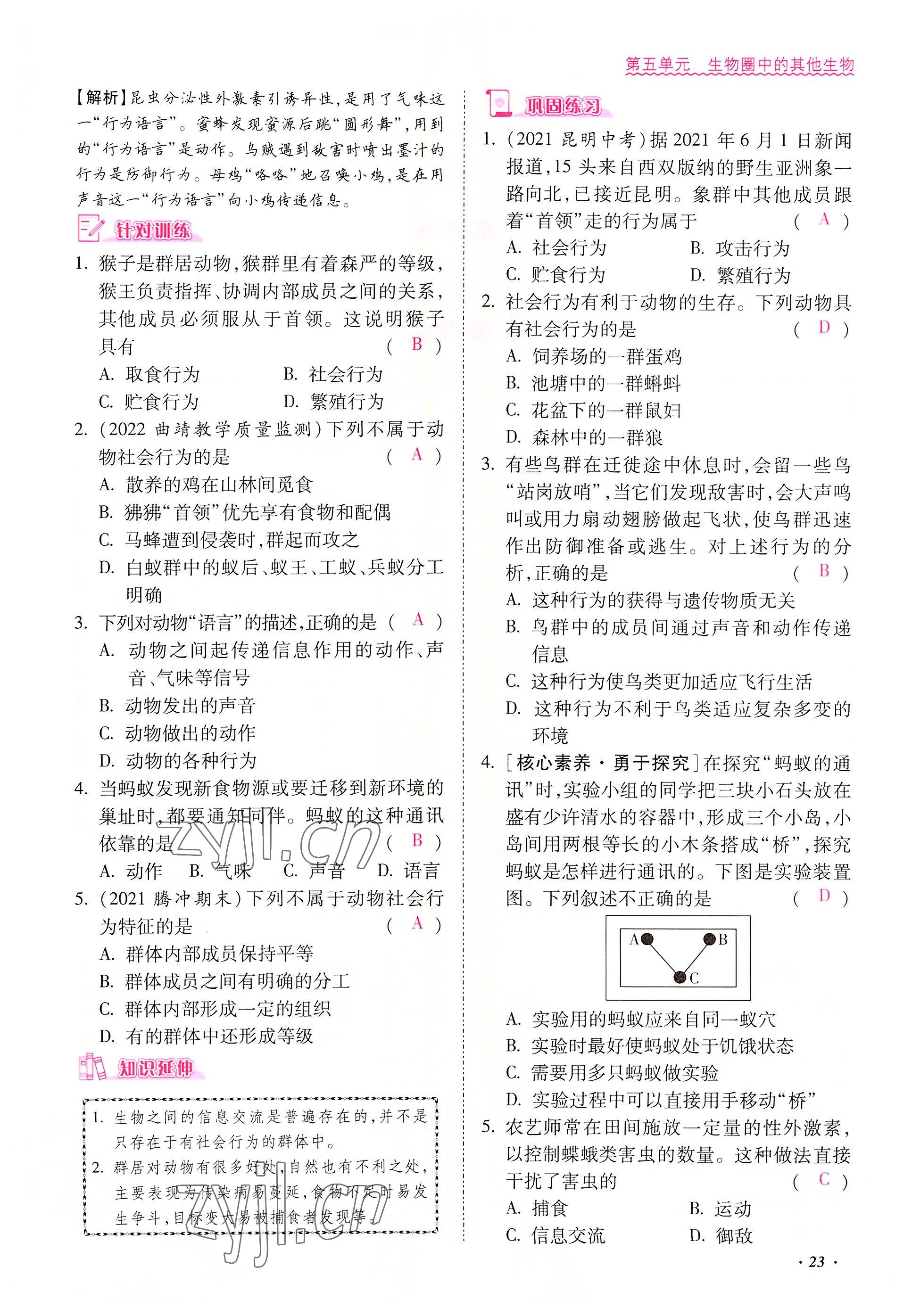 2022年本土攻略八年級(jí)生物上冊人教版 參考答案第23頁