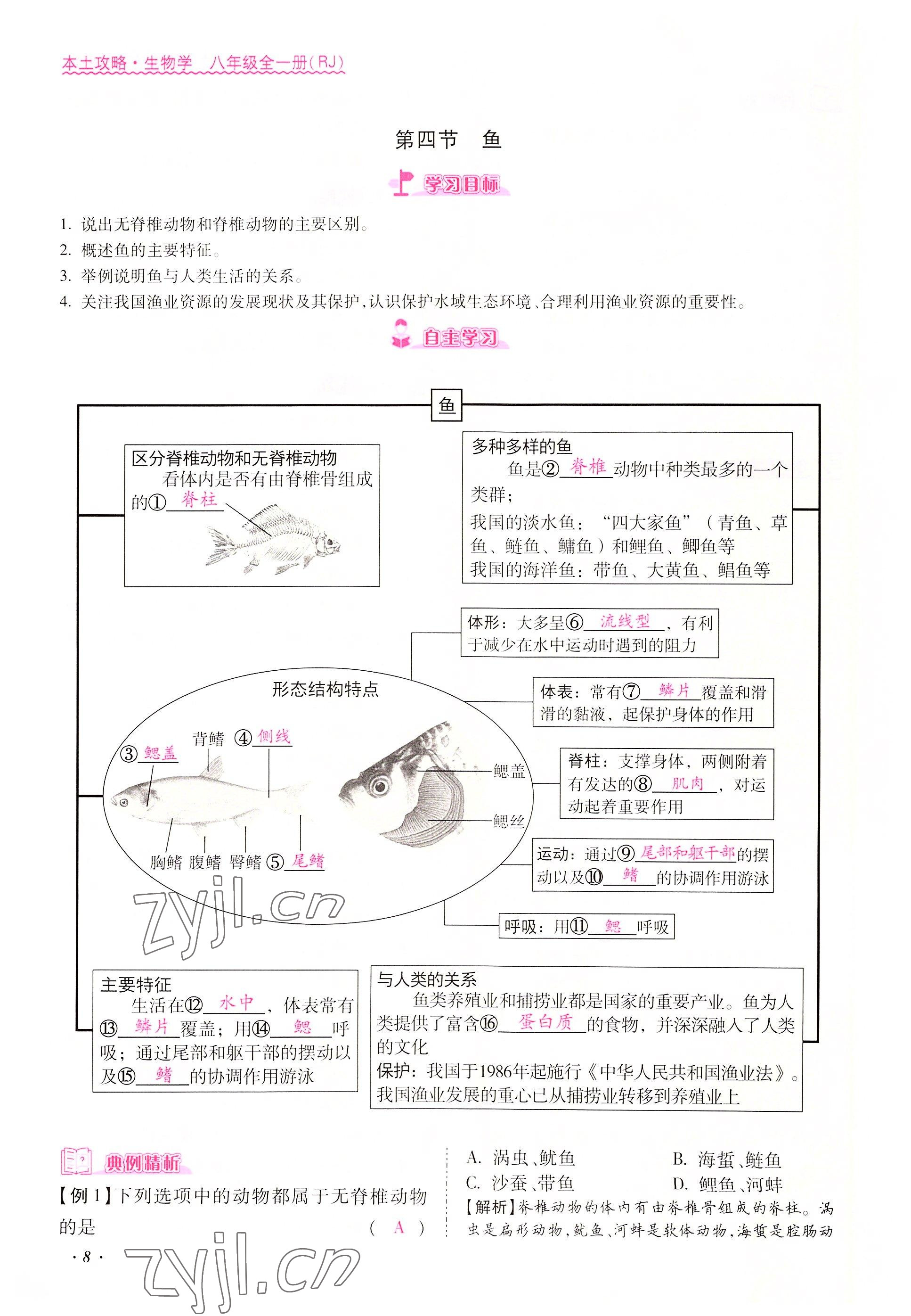 2022年本土攻略八年級生物上冊人教版 參考答案第8頁