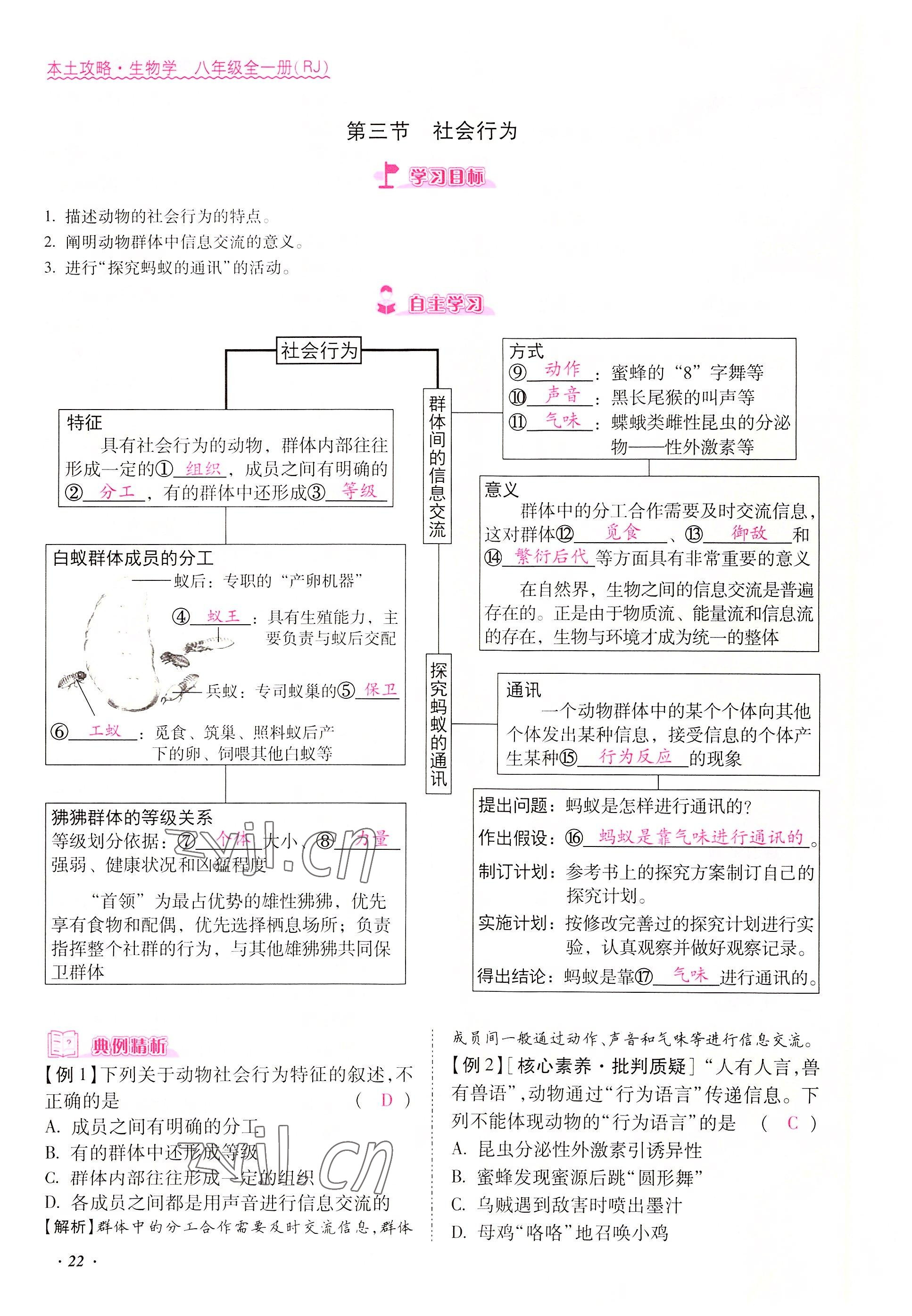 2022年本土攻略八年級生物上冊人教版 參考答案第22頁