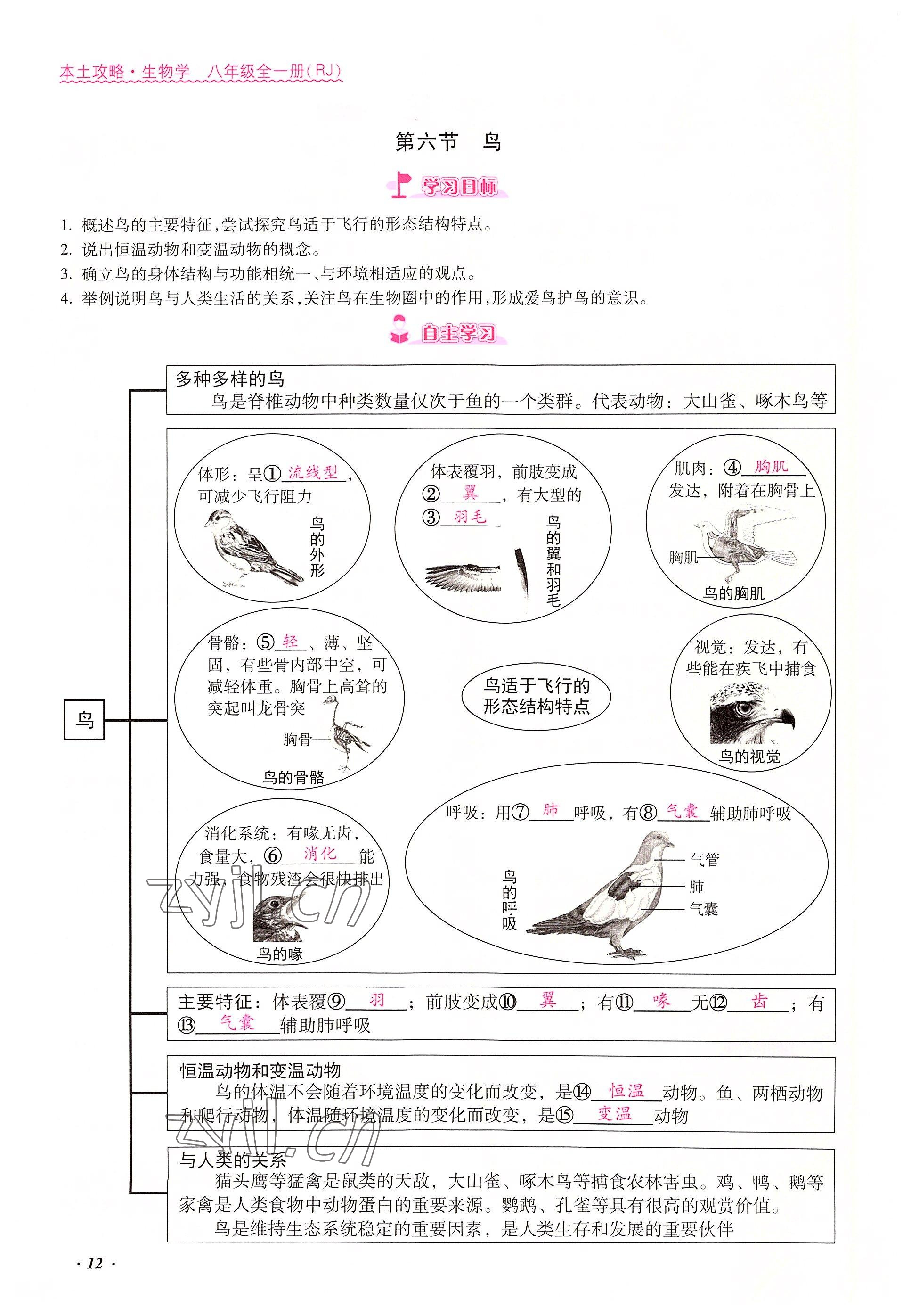 2022年本土攻略八年級生物上冊人教版 參考答案第12頁