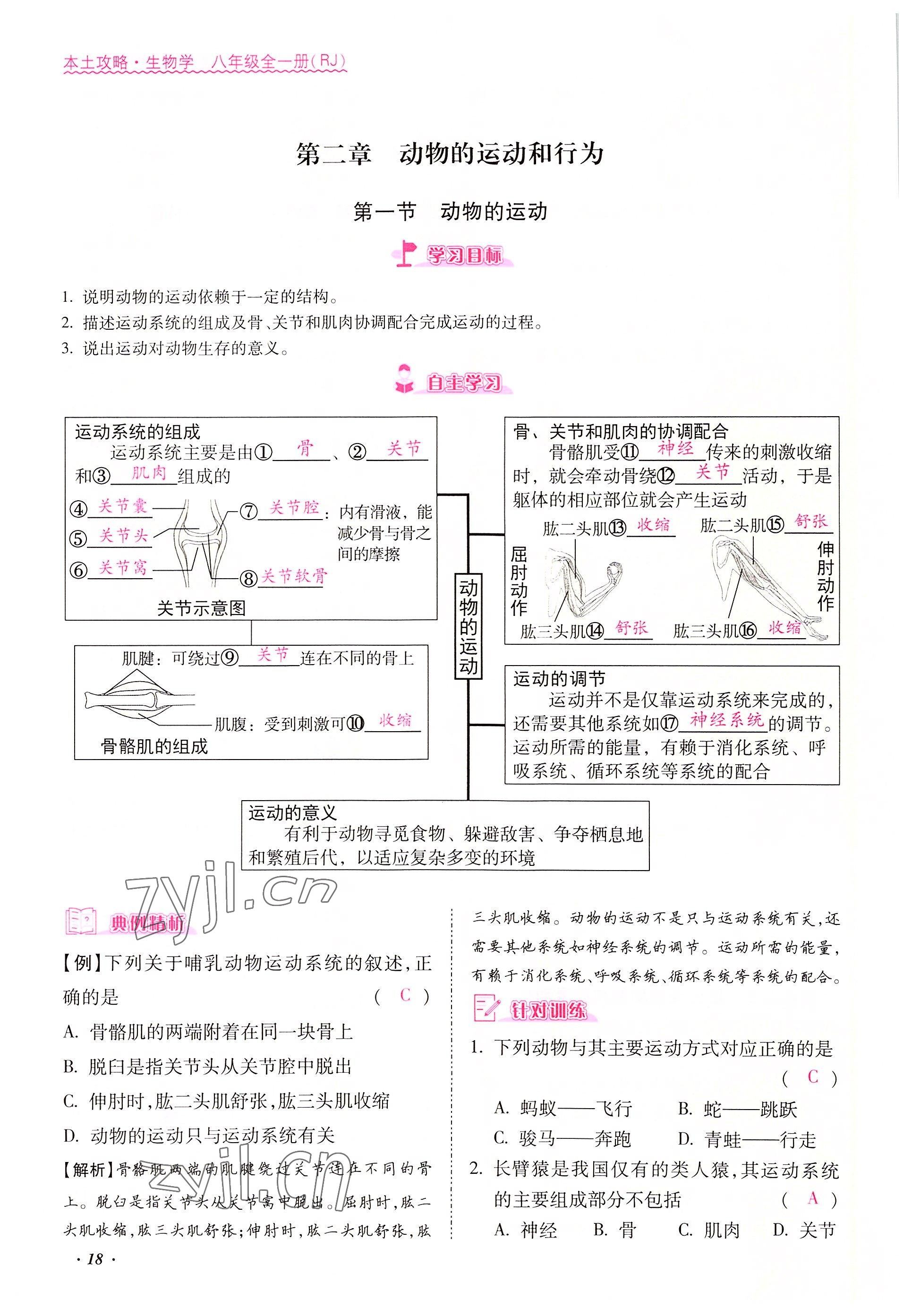 2022年本土攻略八年級生物上冊人教版 參考答案第18頁