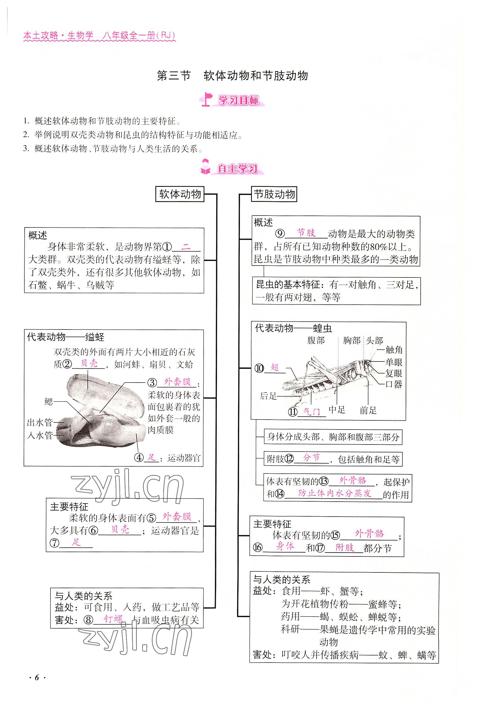 2022年本土攻略八年級生物上冊人教版 參考答案第6頁