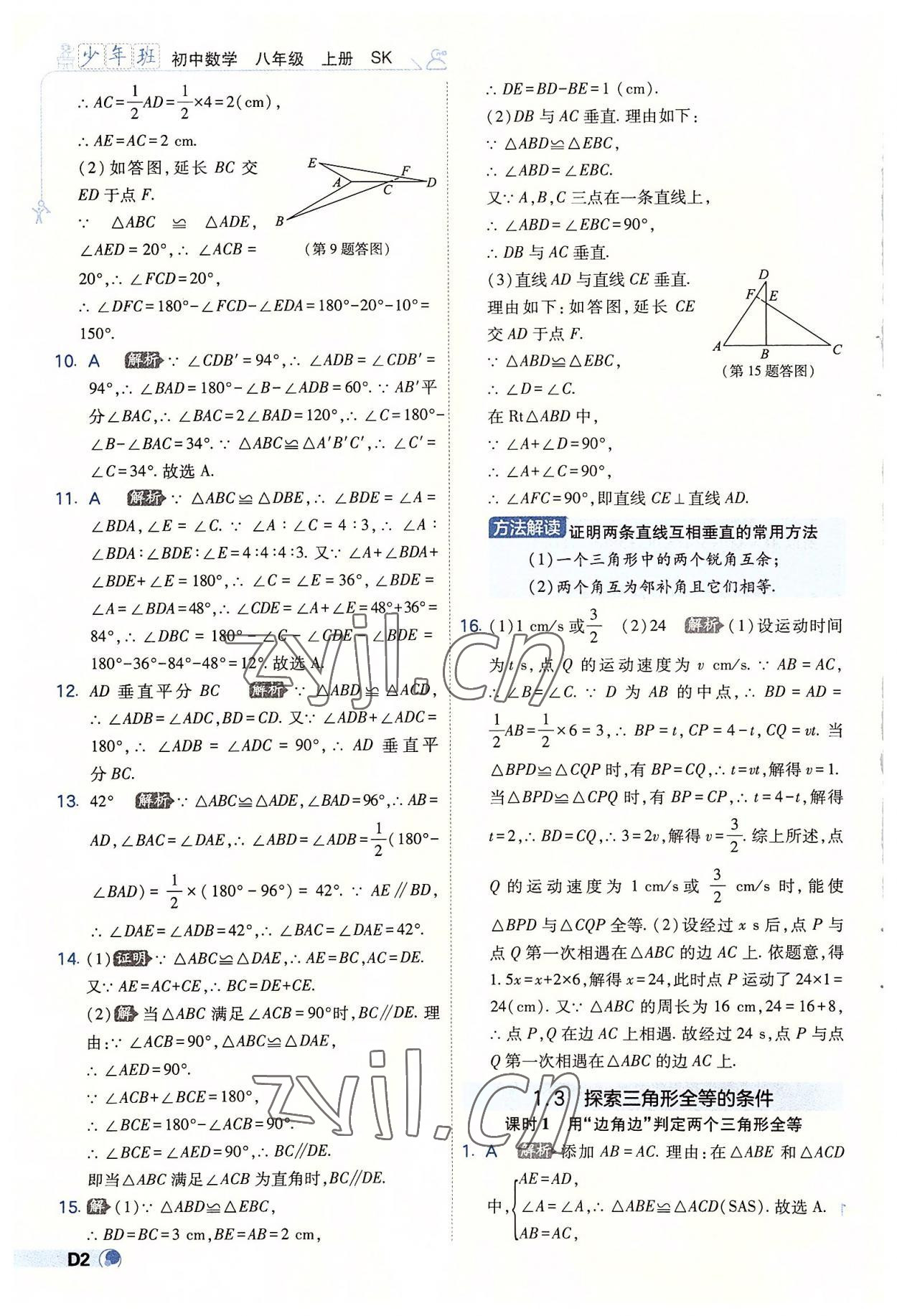 2022年少年班八年级数学上册苏科版 第2页