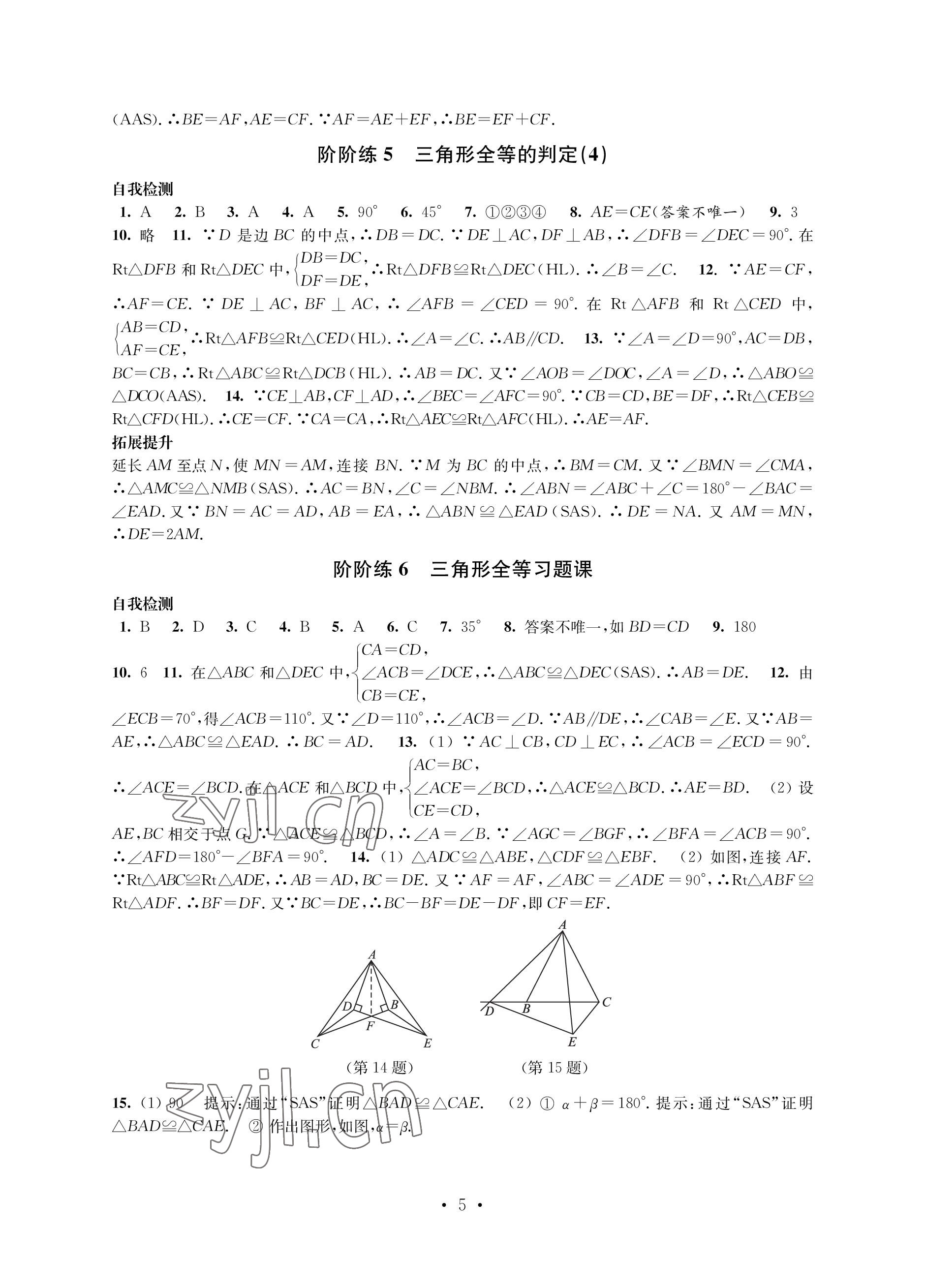 2022年自我提升與評價八年級數(shù)學(xué)上冊 參考答案第5頁