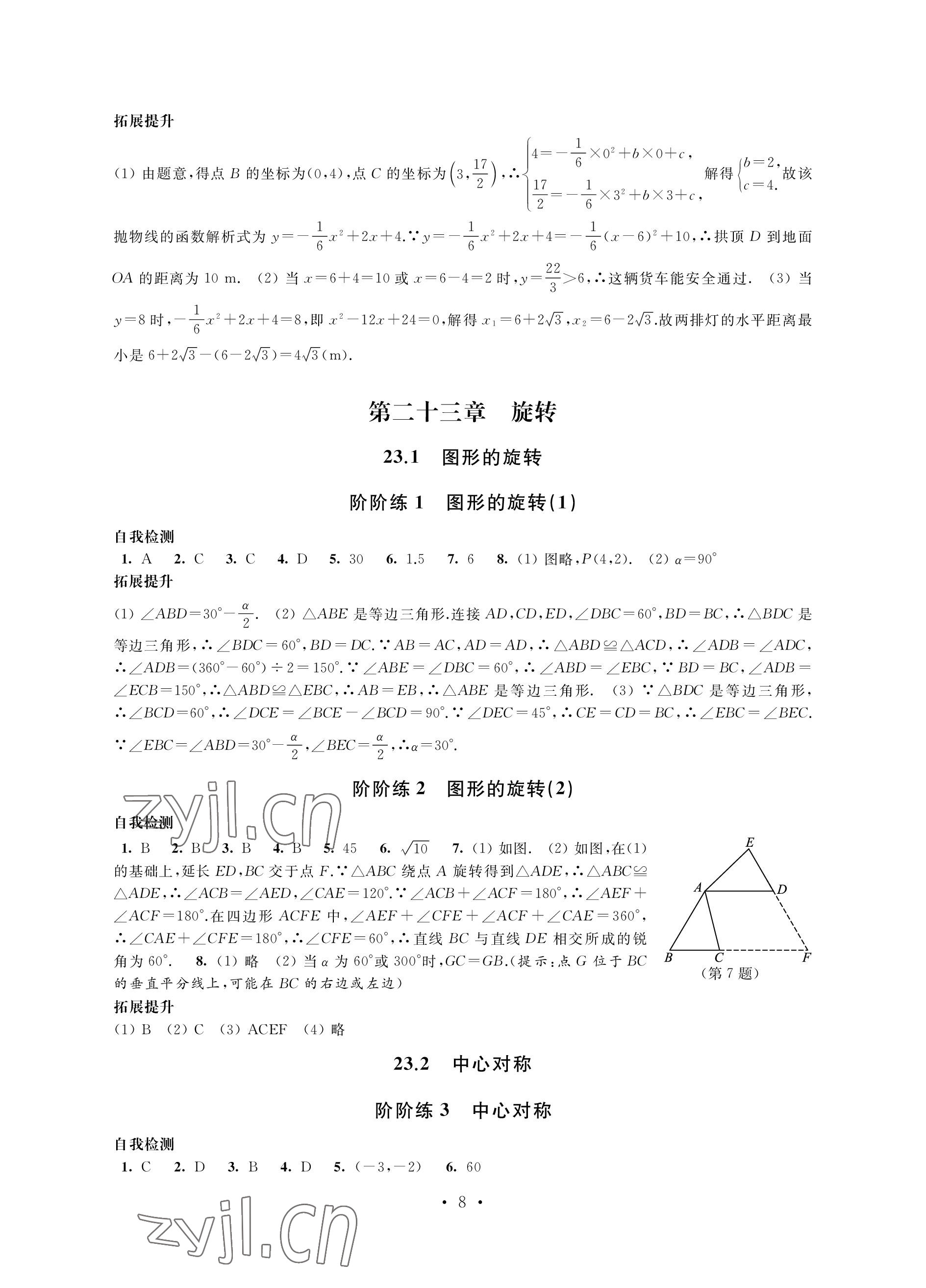 2022年自我提升與評價九年級數學上冊 參考答案第8頁