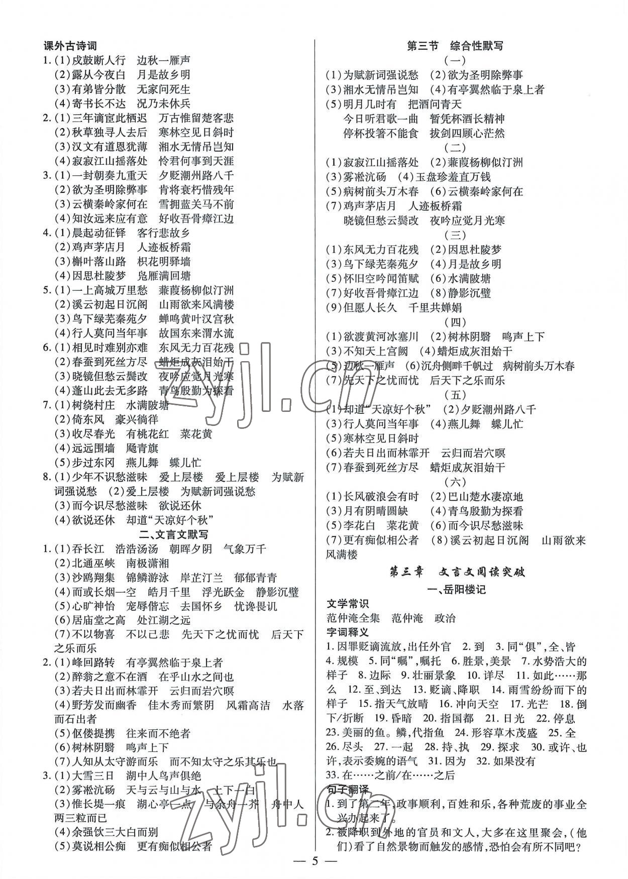 2022年基礎(chǔ)精練九年級語文全一冊人教版深圳專版 第5頁