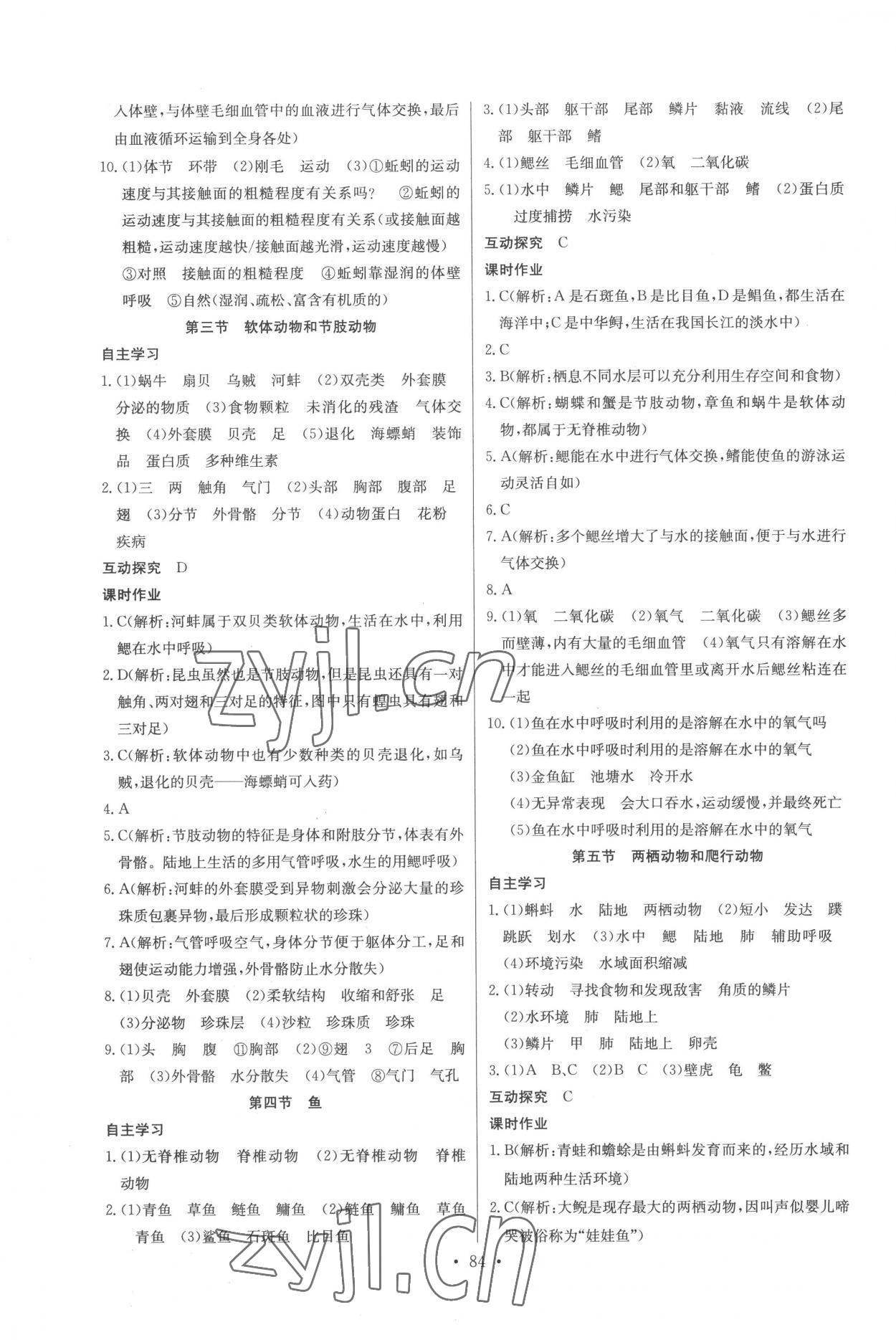 2022年长江全能学案同步练习册八年级生物上册人教版 第2页