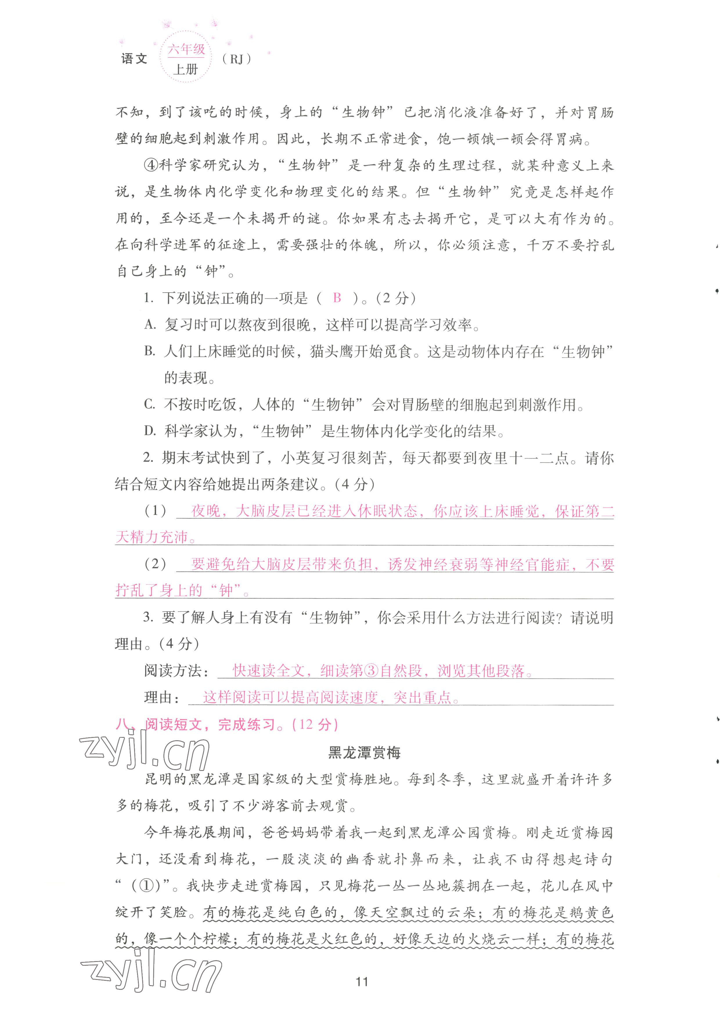 2022年云南省標準教輔同步指導訓練與檢測配套測試卷六年級語文上冊人教版 參考答案第11頁