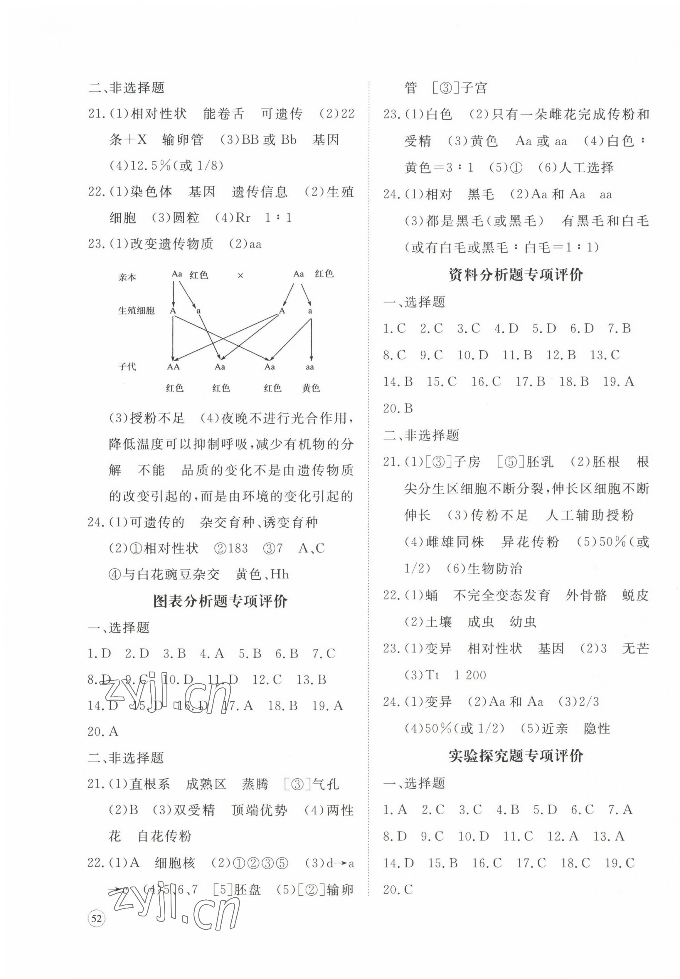 2022年精練課堂分層作業(yè)八年級生物上冊濟南版 參考答案第3頁