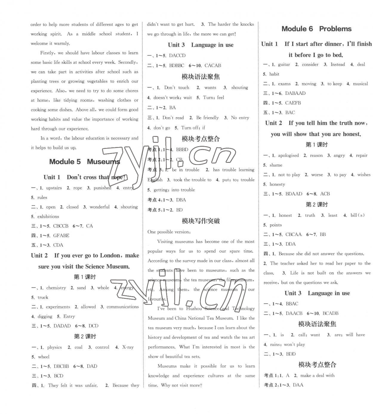 2022年通城學(xué)典課時作業(yè)本九年級英語上冊外研版合肥專版 第3頁