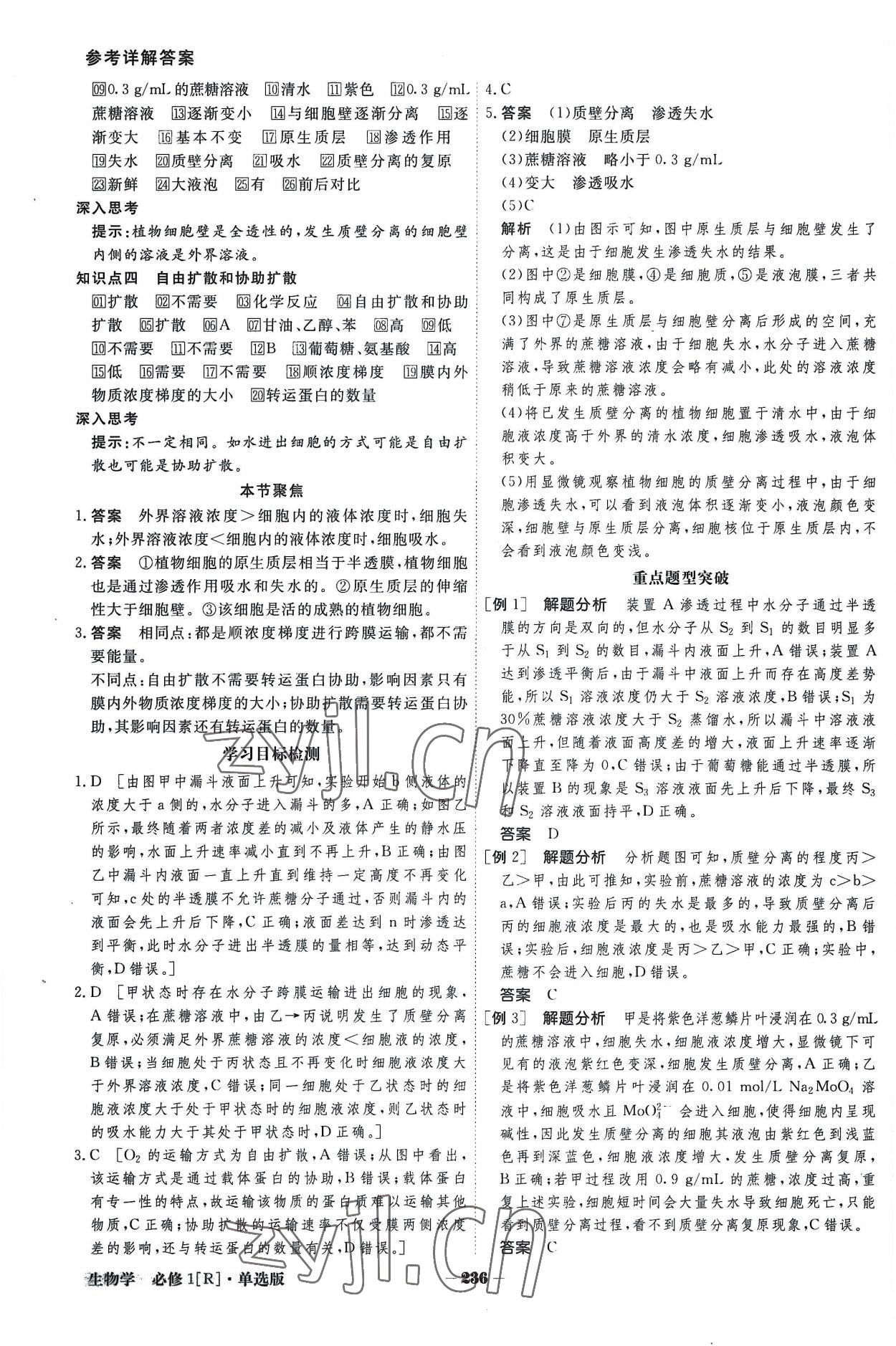 2022年金版教程高中新课程创新导学案生物学必修一人教版 参考答案第12页