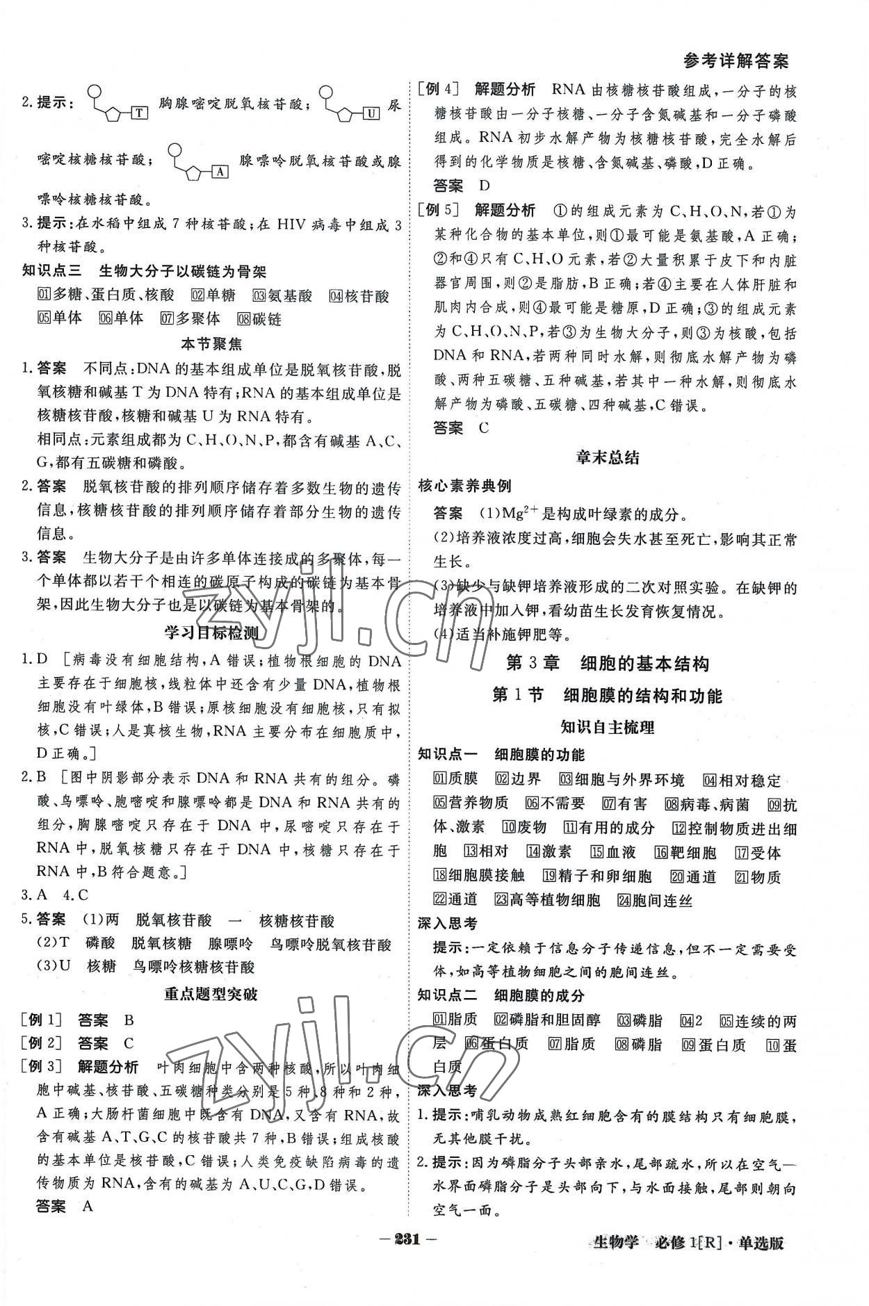 2022年金版教程高中新課程創(chuàng)新導(dǎo)學(xué)案生物學(xué)必修一人教版 參考答案第7頁(yè)