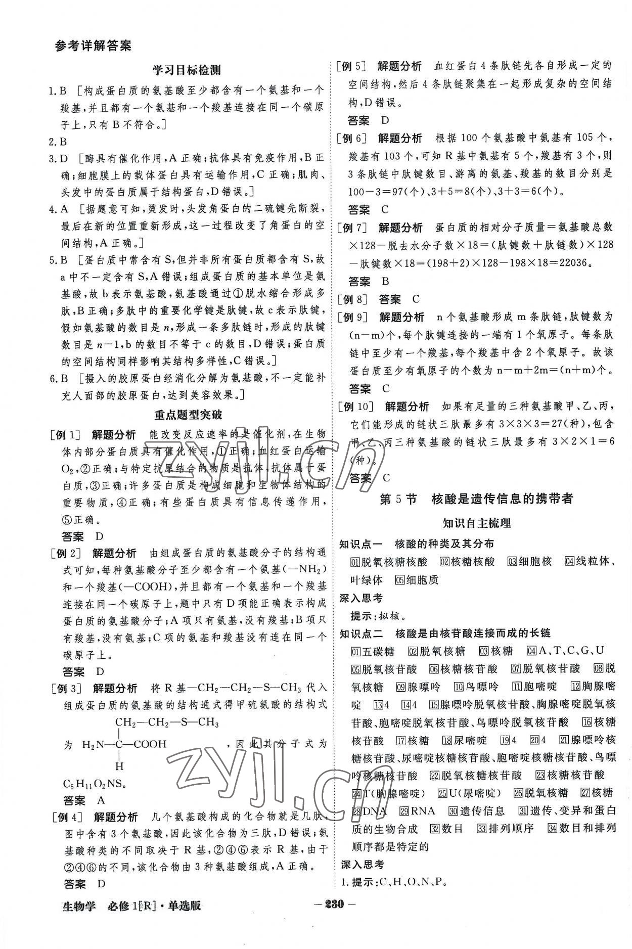 2022年金版教程高中新課程創(chuàng)新導學案生物學必修一人教版 參考答案第6頁