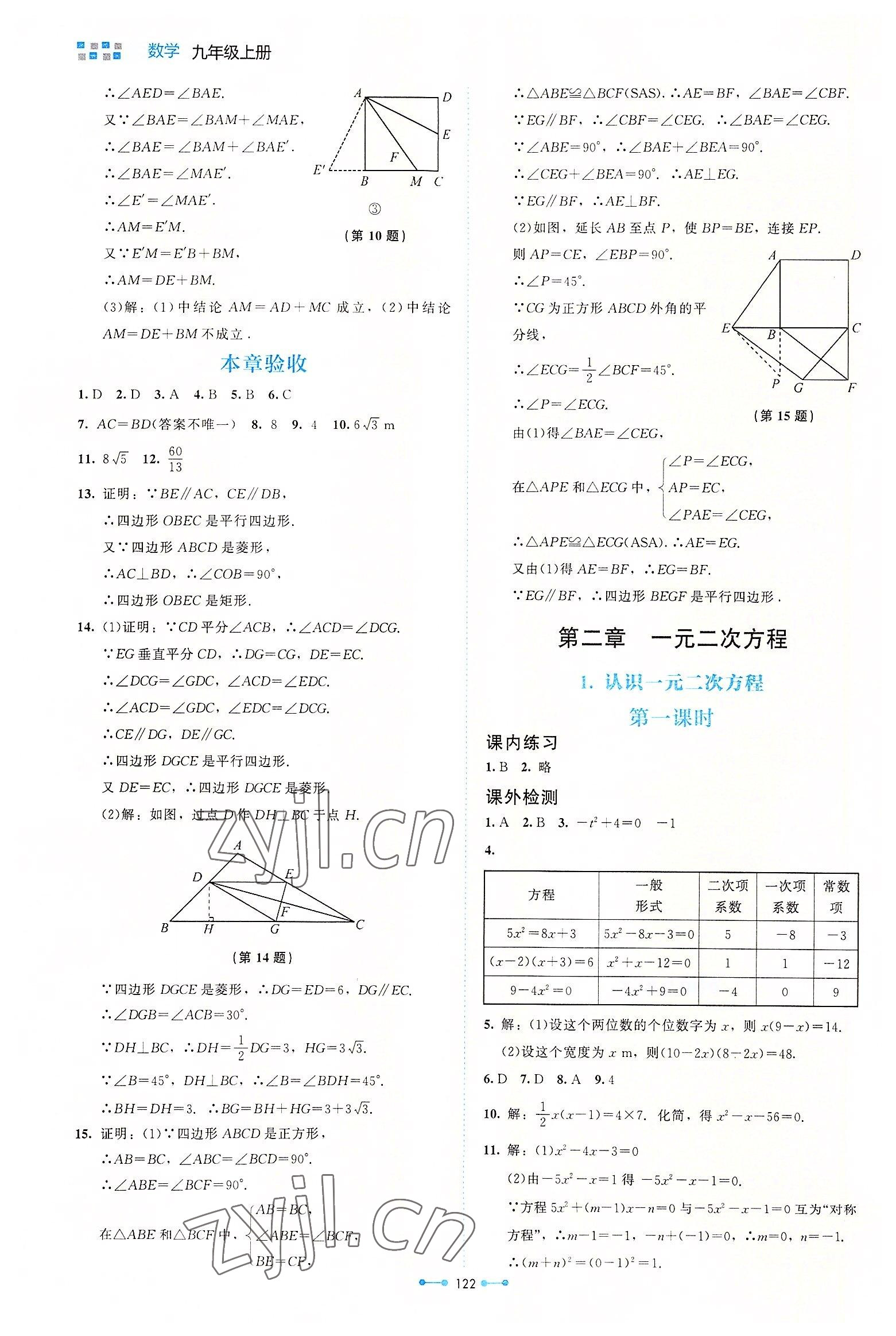 2022年伴你学北京师范大学出版社九年级数学上册北师大版 第6页