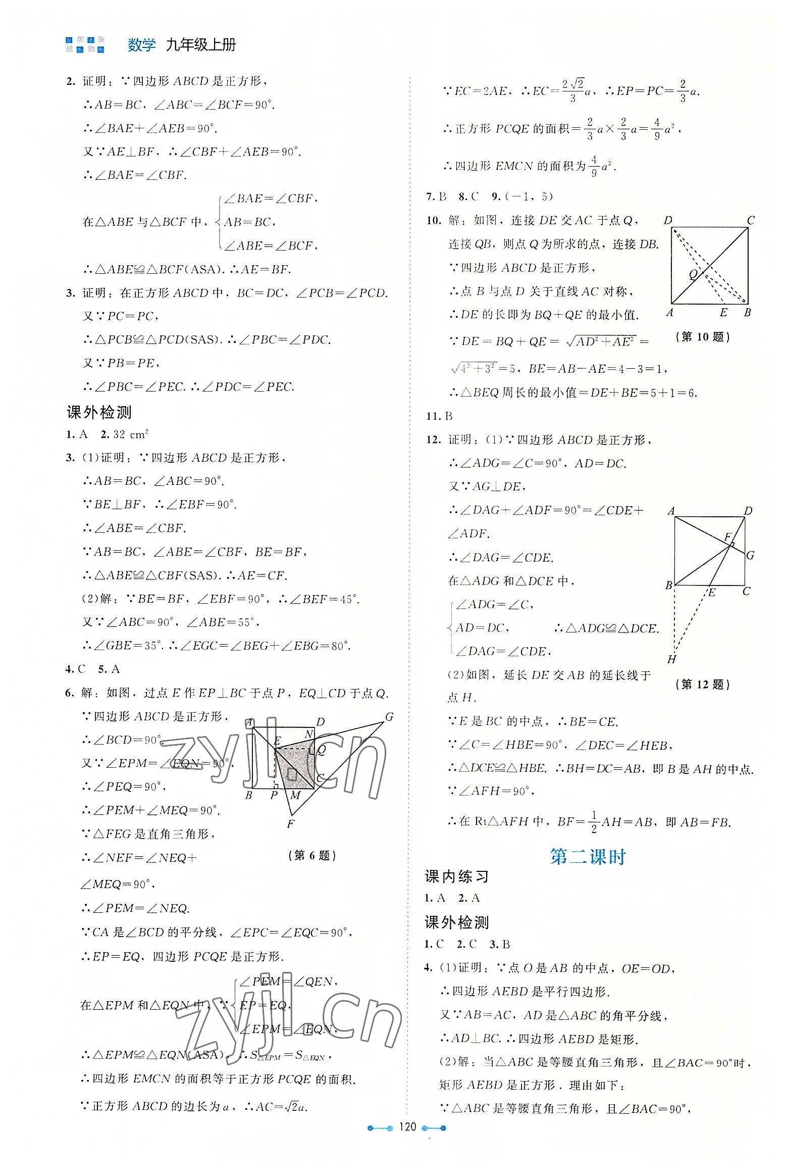 2022年伴你學(xué)北京師范大學(xué)出版社九年級(jí)數(shù)學(xué)上冊(cè)北師大版 第4頁(yè)