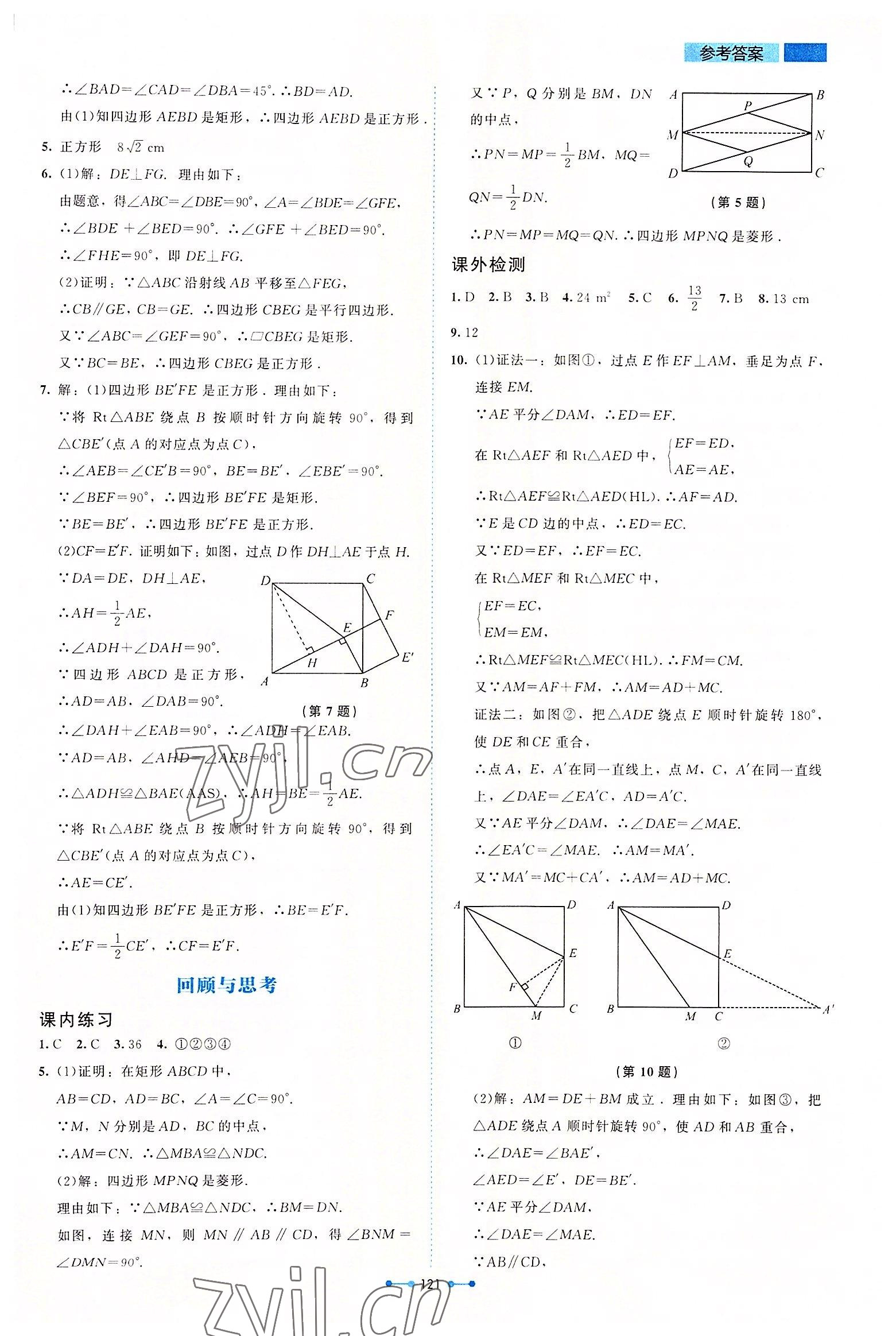 2022年伴你學北京師范大學出版社九年級數(shù)學上冊北師大版 第5頁