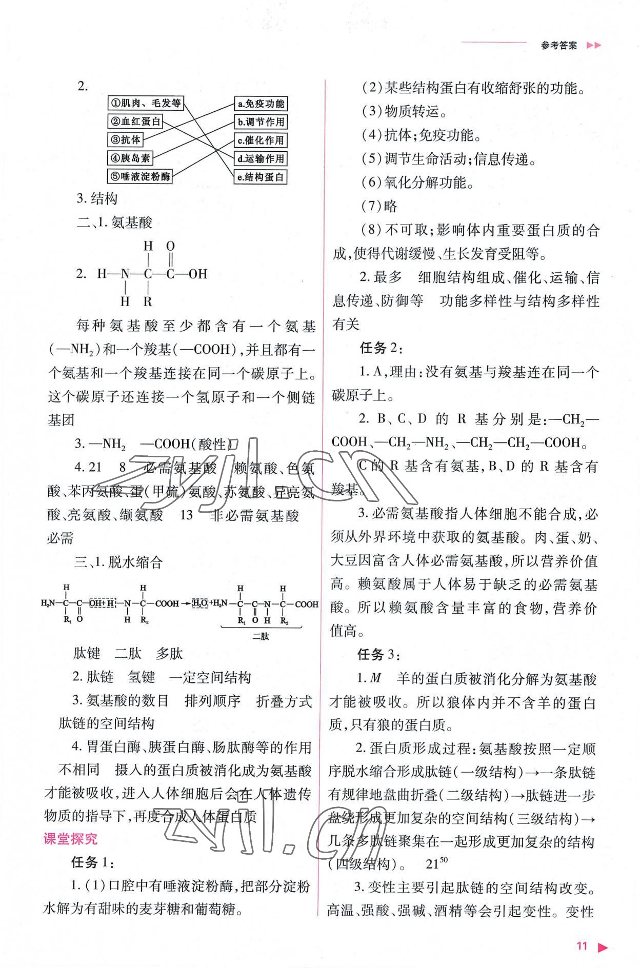 2022年普通高中新課程同步練習冊高中生物必修1人教版 參考答案第11頁