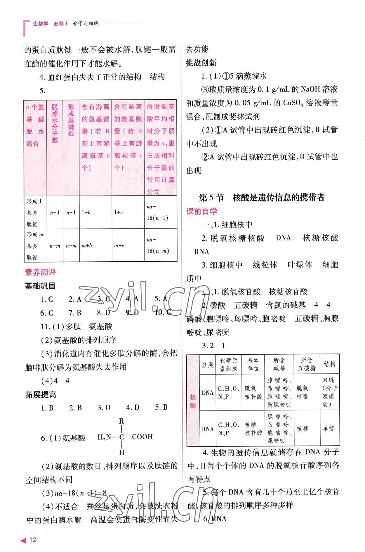 2022年普通高中新課程同步練習(xí)冊高中生物必修1人教版 參考答案第12頁