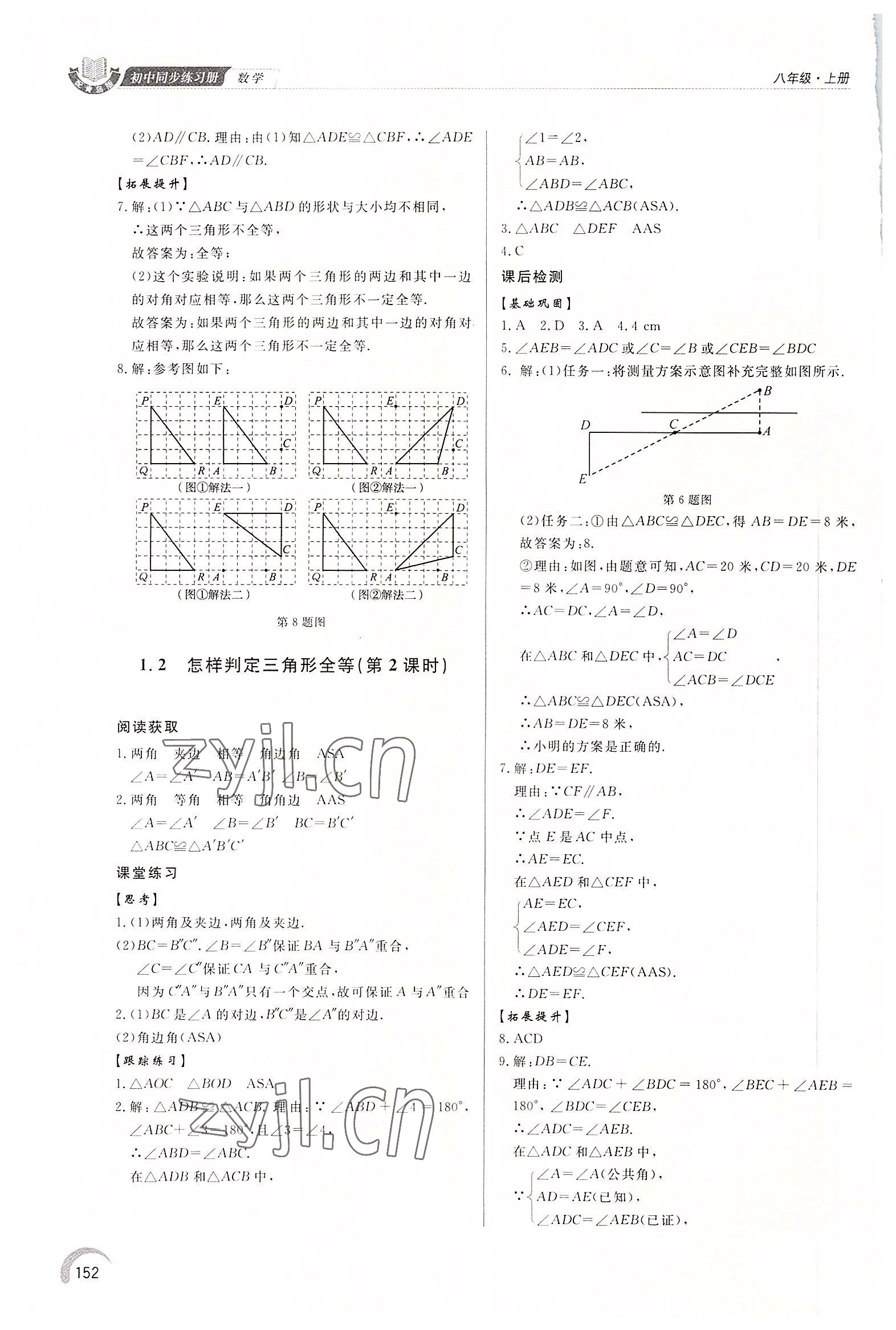 2022年同步練習冊泰山出版社八年級數(shù)學上冊青島版 第2頁