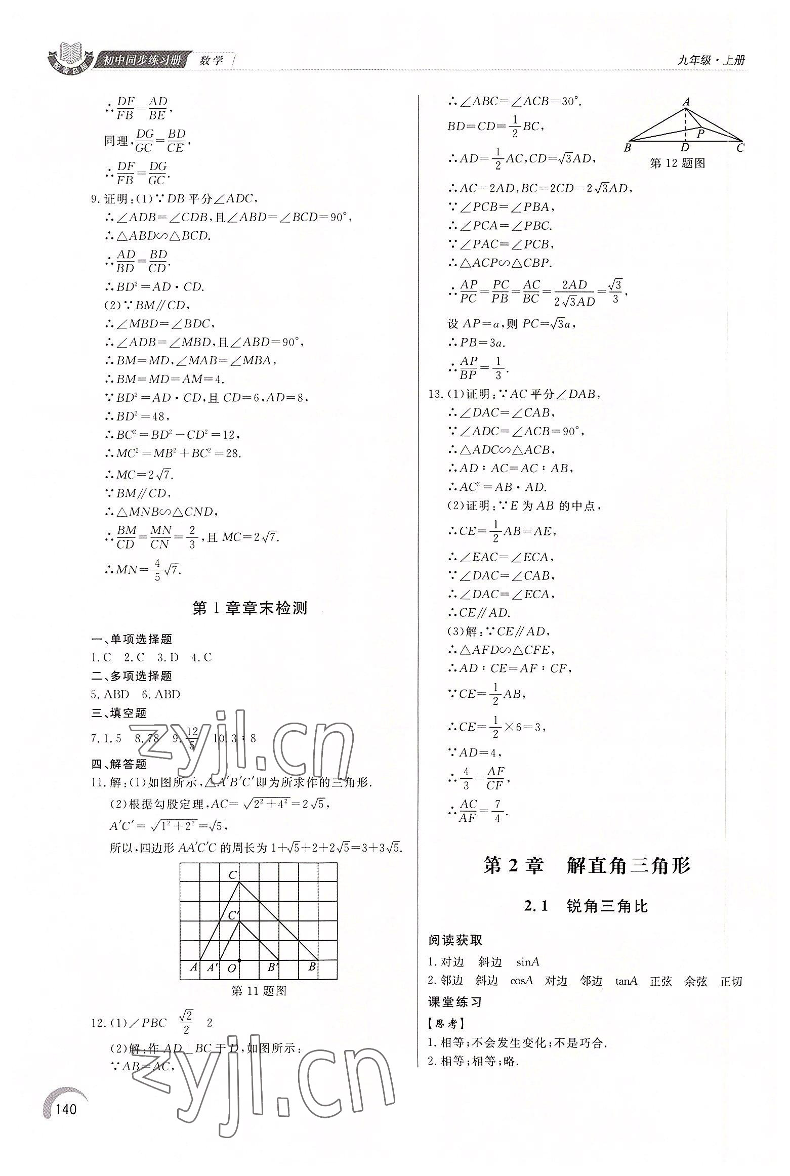 2022年同步练习册泰山出版社九年级数学上册青岛版 第6页