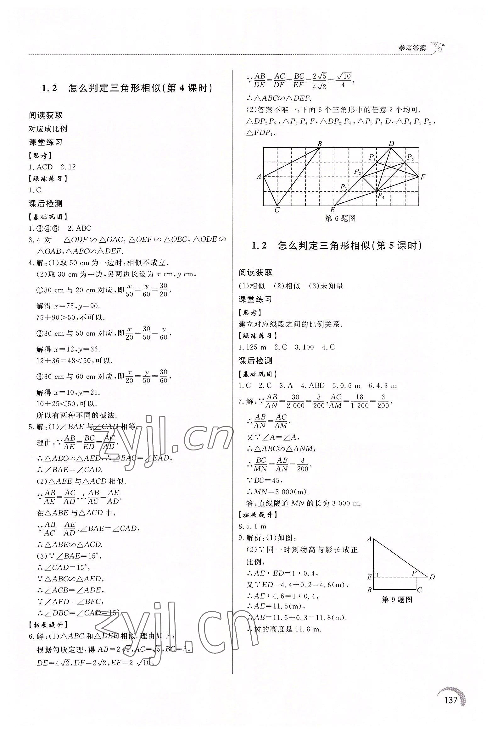 2022年同步练习册泰山出版社九年级数学上册青岛版 第3页