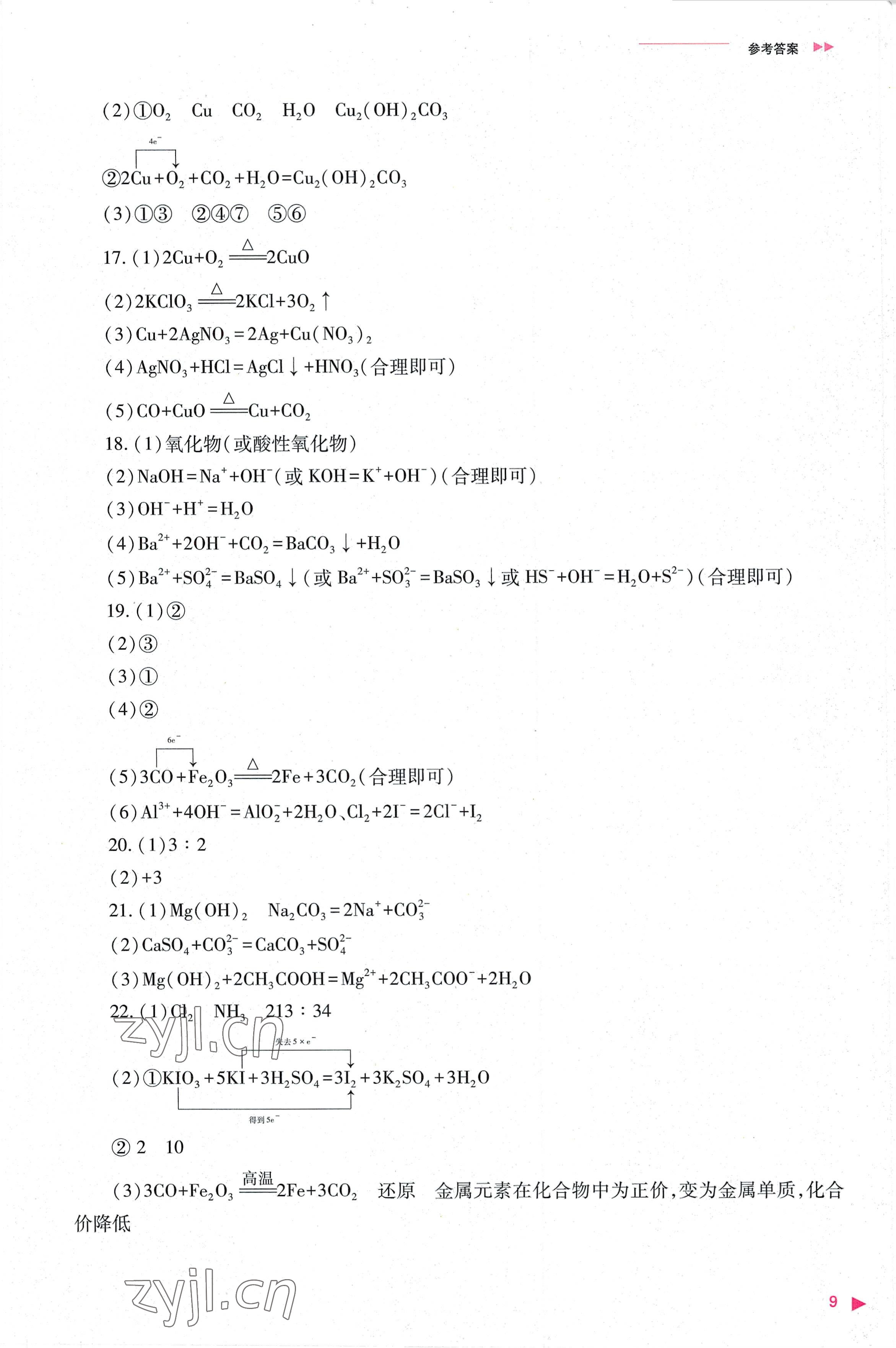 2022年普通高中新課程同步練習(xí)冊(cè)高中化學(xué)必修第一冊(cè)人教版 參考答案第9頁