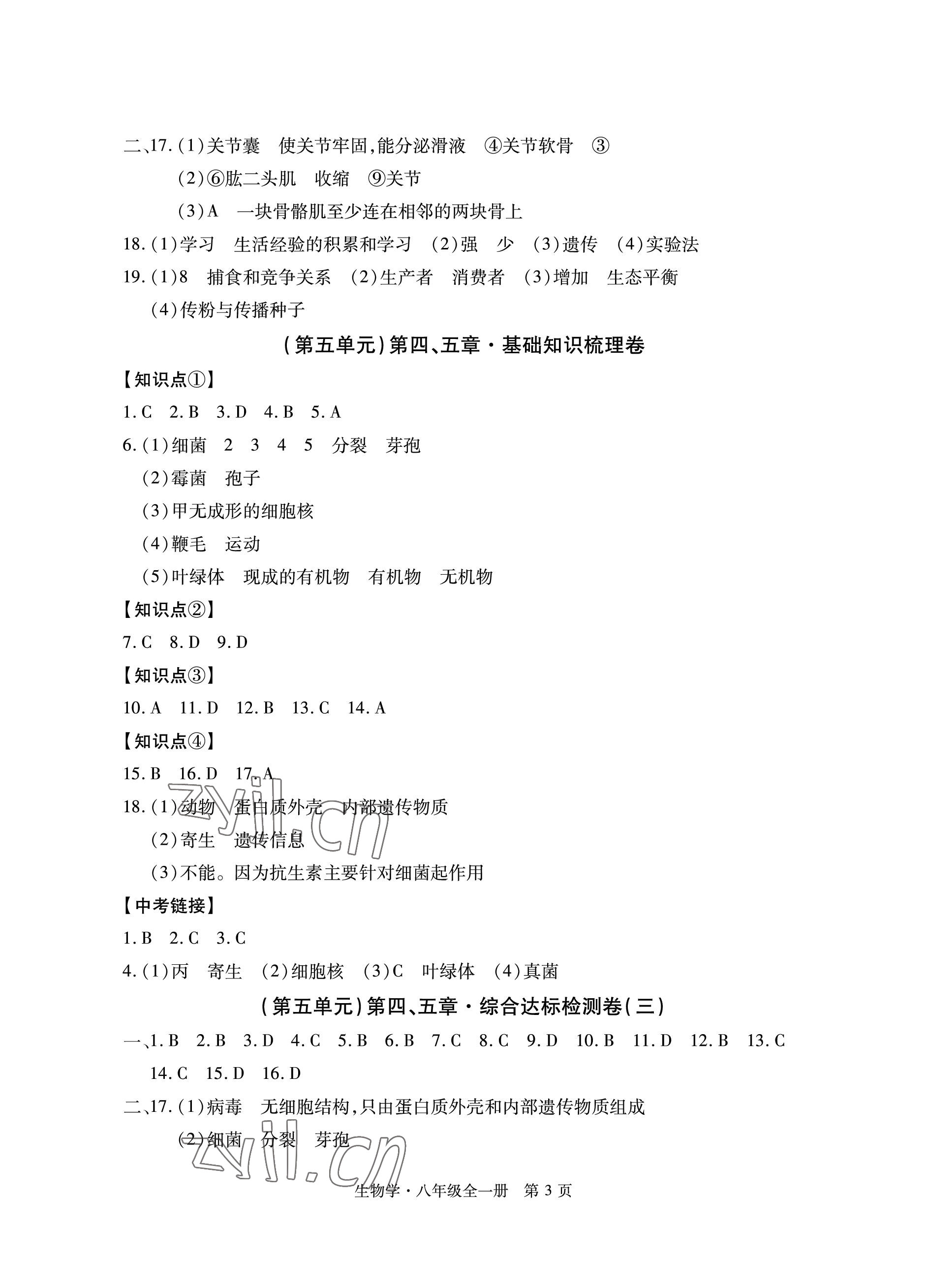 2022年初中同步練習(xí)冊自主測試卷八年級生物全一冊人教版 參考答案第3頁