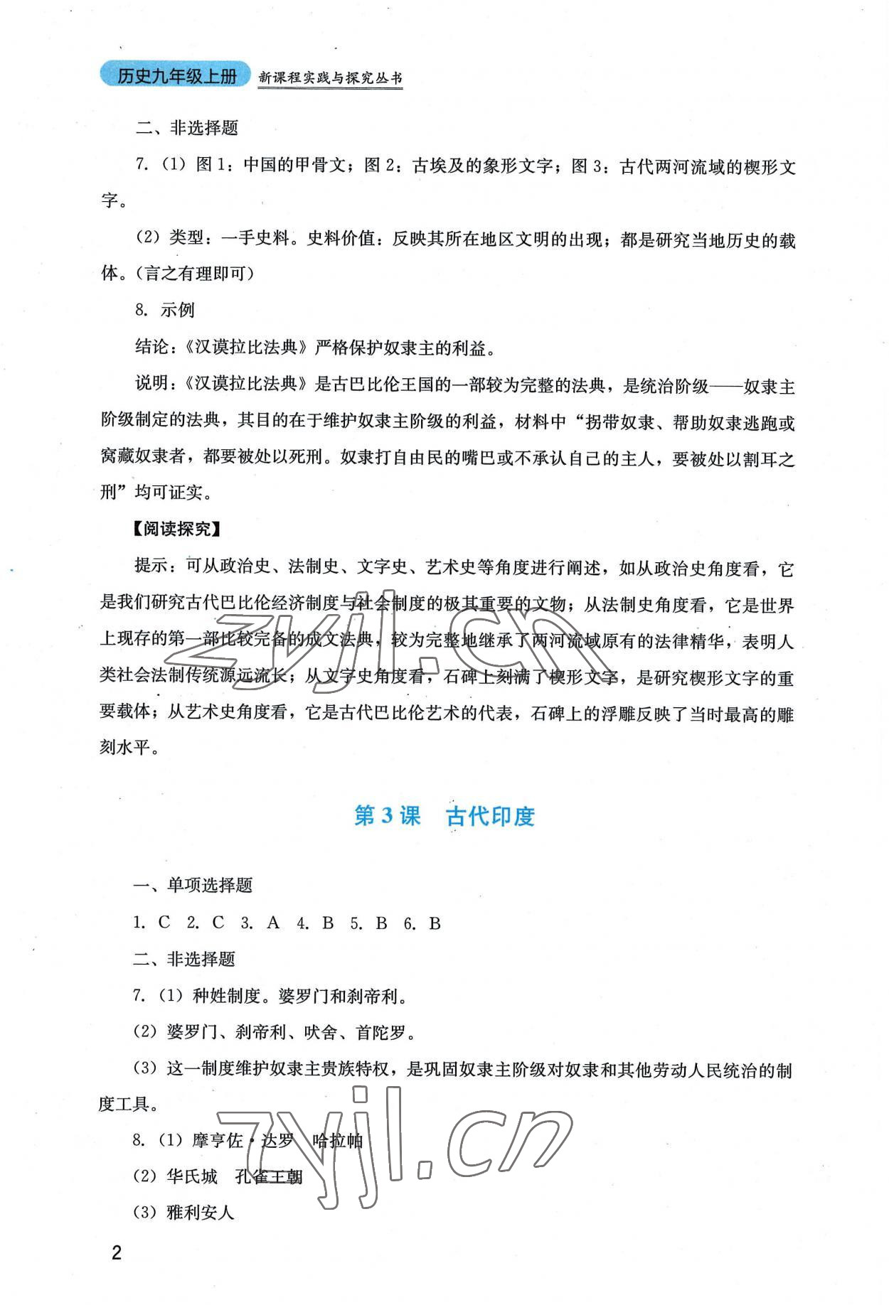 2022年新課程實(shí)踐與探究叢書九年級(jí)歷史上冊人教版 第2頁