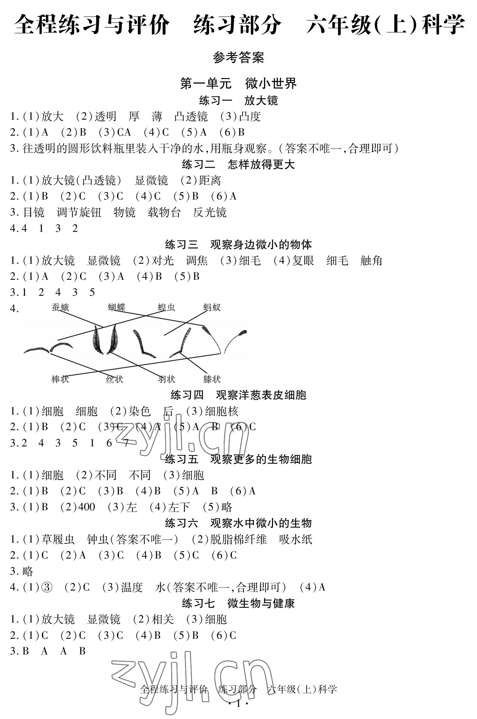 2022年全程练习与评价六年级科学上册教科版 参考答案第1页