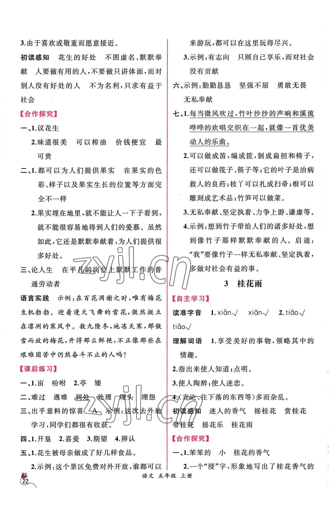 2022年同步導(dǎo)學(xué)案課時練五年級語文上冊人教版 第2頁