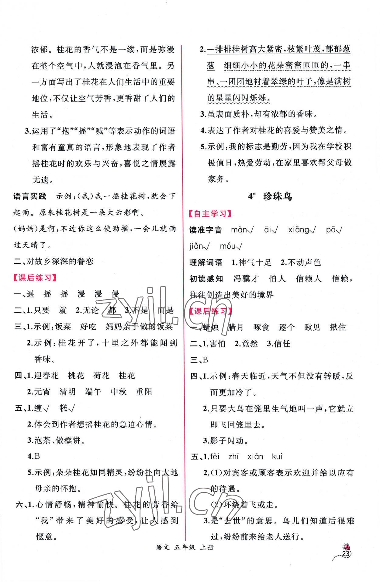 2022年同步導(dǎo)學(xué)案課時(shí)練五年級(jí)語(yǔ)文上冊(cè)人教版 第3頁(yè)