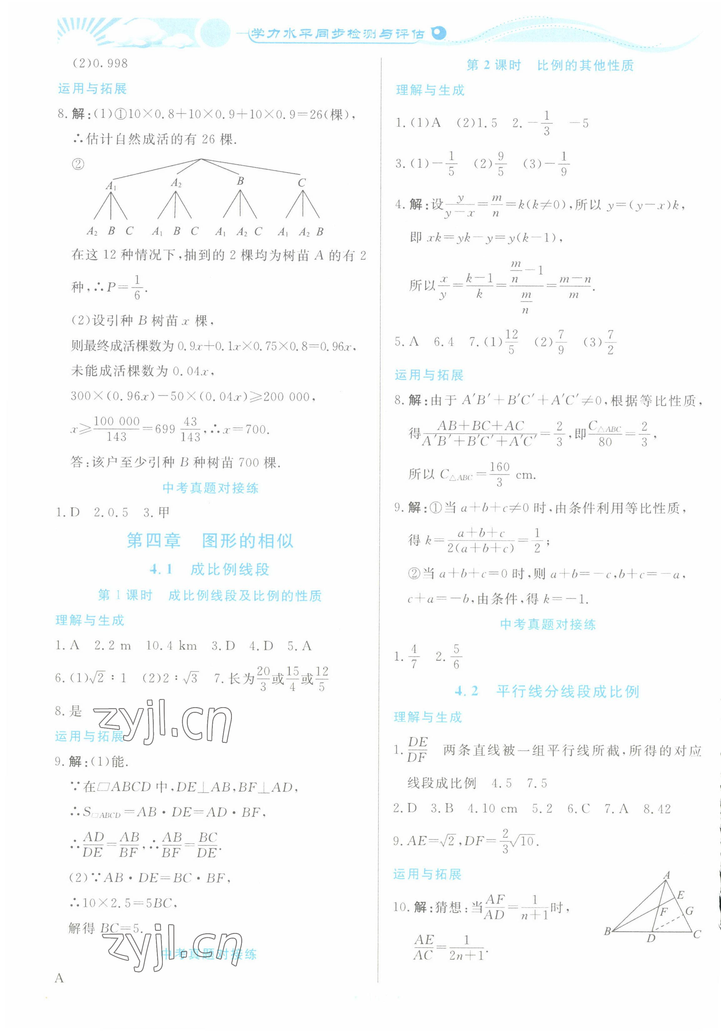 2022年學(xué)力水平同步檢測與評估九年級數(shù)學(xué)全一冊北師大版 第14頁