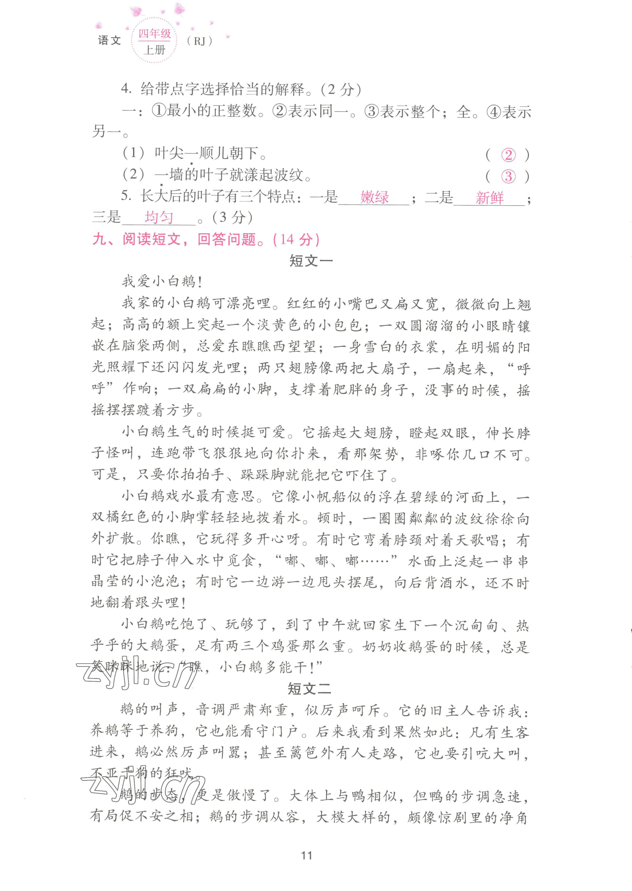 2022年云南省標(biāo)準(zhǔn)教輔同步指導(dǎo)訓(xùn)練與檢測配套測試卷四年級語文上冊人教版 參考答案第11頁