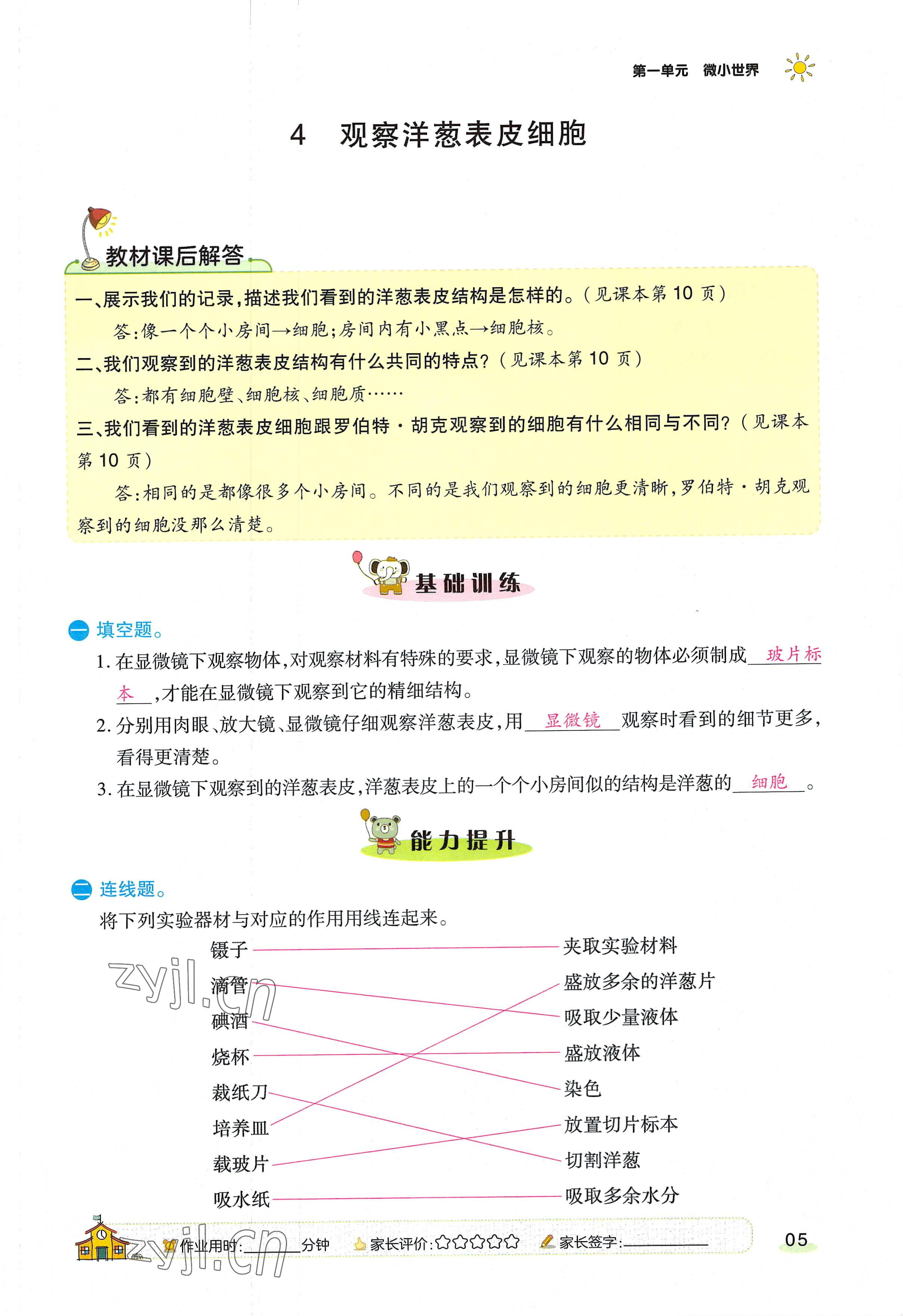 2022年名師小狀元課時(shí)作業(yè)本六年級(jí)科學(xué)上冊教科版 參考答案第13頁