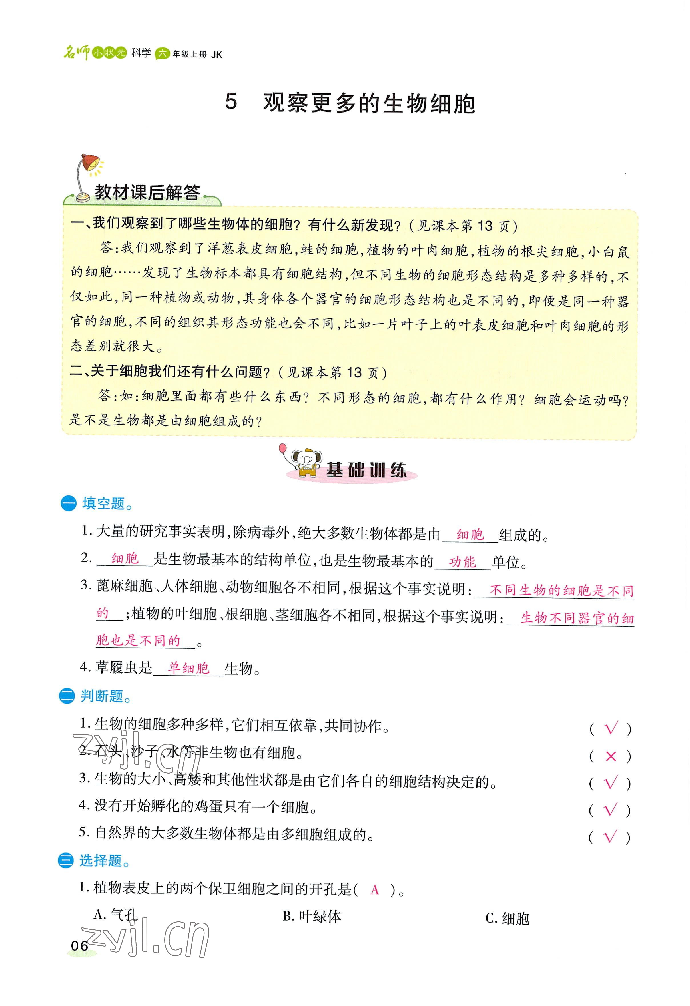 2022年名師小狀元課時作業(yè)本六年級科學上冊教科版 參考答案第16頁